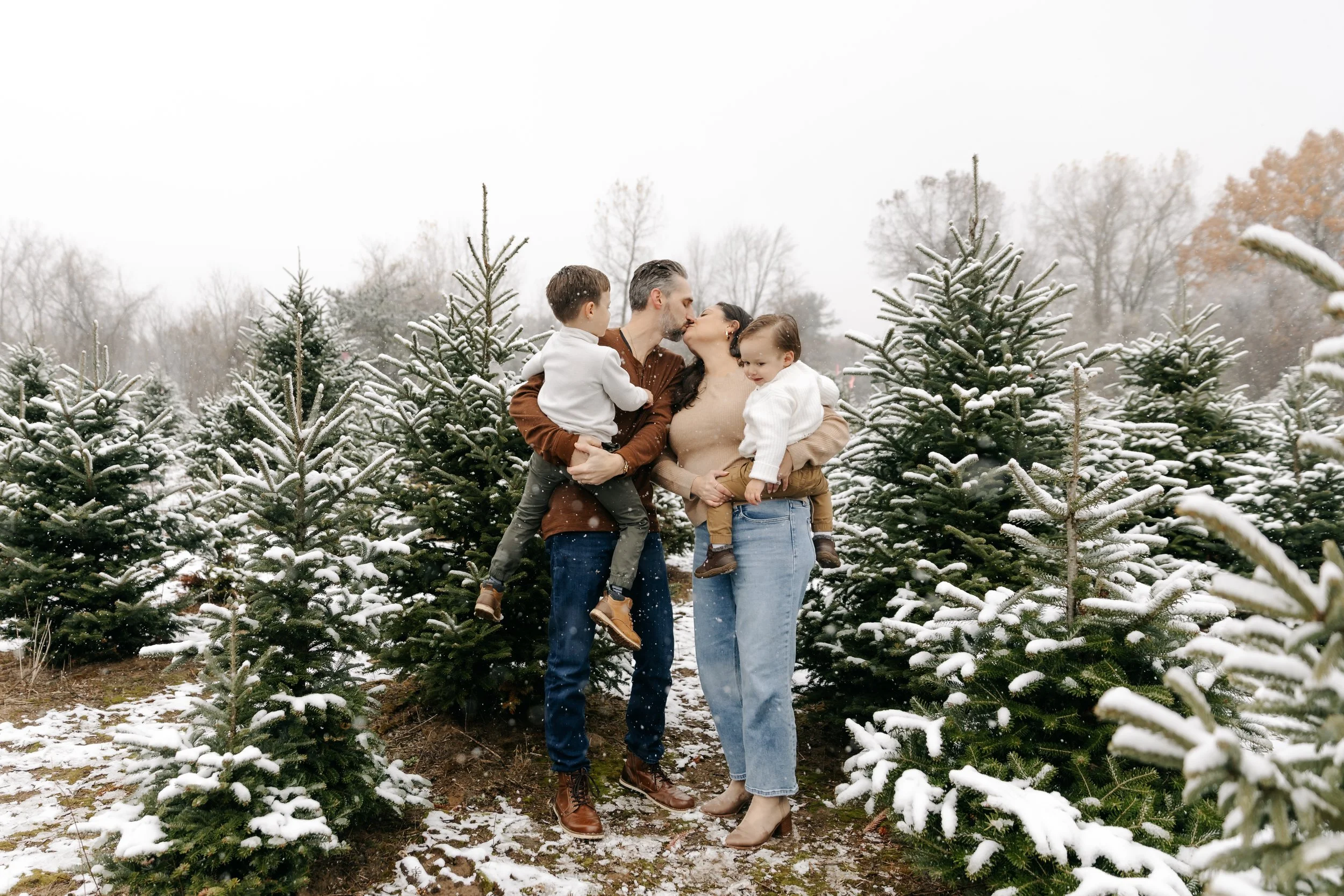 treefarm25-95.jpg