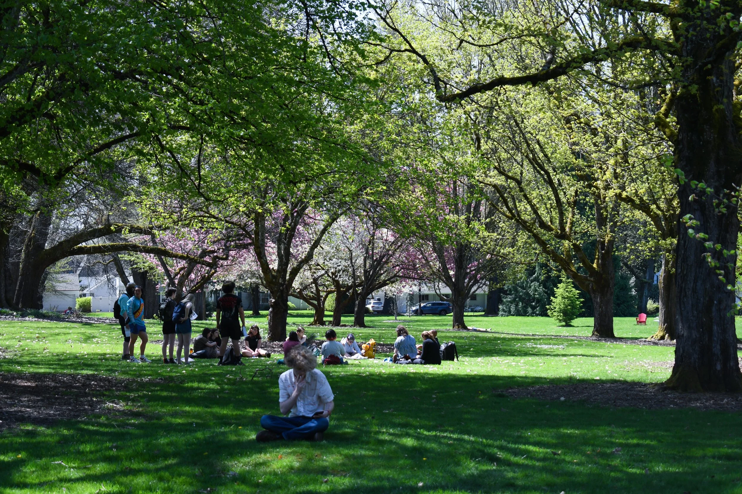 Sunny Fun Day Pics-02.jpg