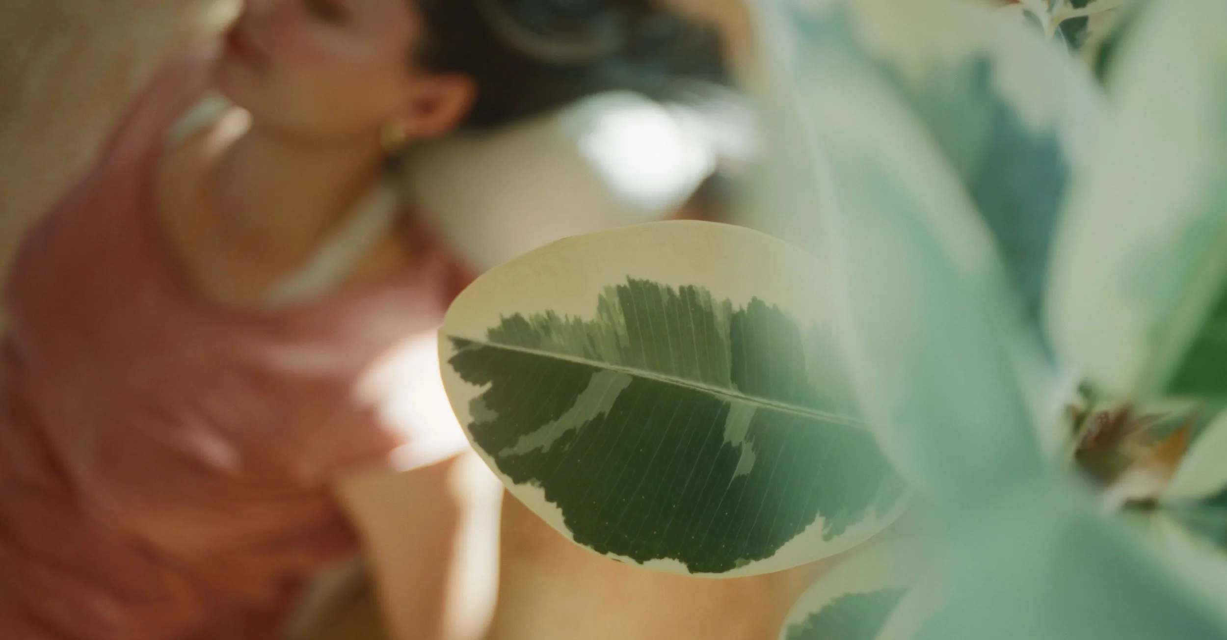 Nervous System Reset Series