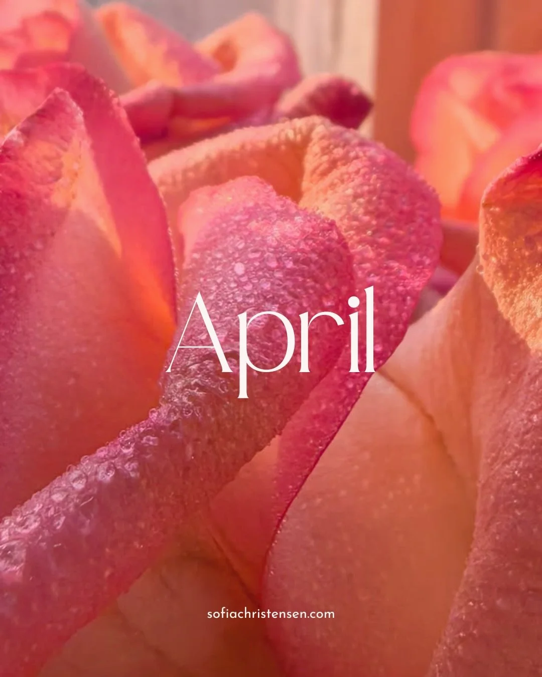 The April theme in my Devotion membership is Bloom 🌷 This month&rsquo;s classes are live in the studio, and here are my upcoming local offerings in the Methow! 🌼