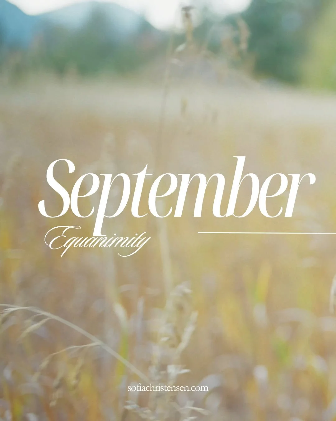 September 🌾🍂✨ Here are my upcoming local events and what&rsquo;s new in the Devotion membership this month! links in bio 🫶🏼