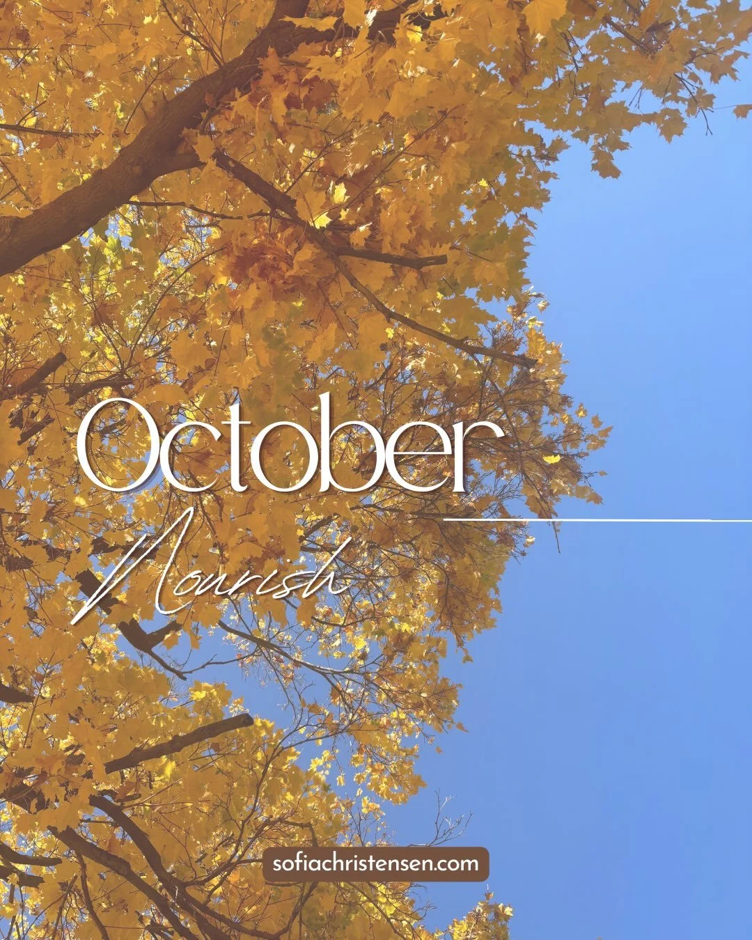 Happy October!!! 🎃🍂🍁 Here are my upcoming local events and what&rsquo;s new in the devotion membership this month! Link in bio 🫶🏼 

Also! Reminder that Soulful Slow Flow is every Saturday at 9:30am at Motive :) the fall season is such a great ti