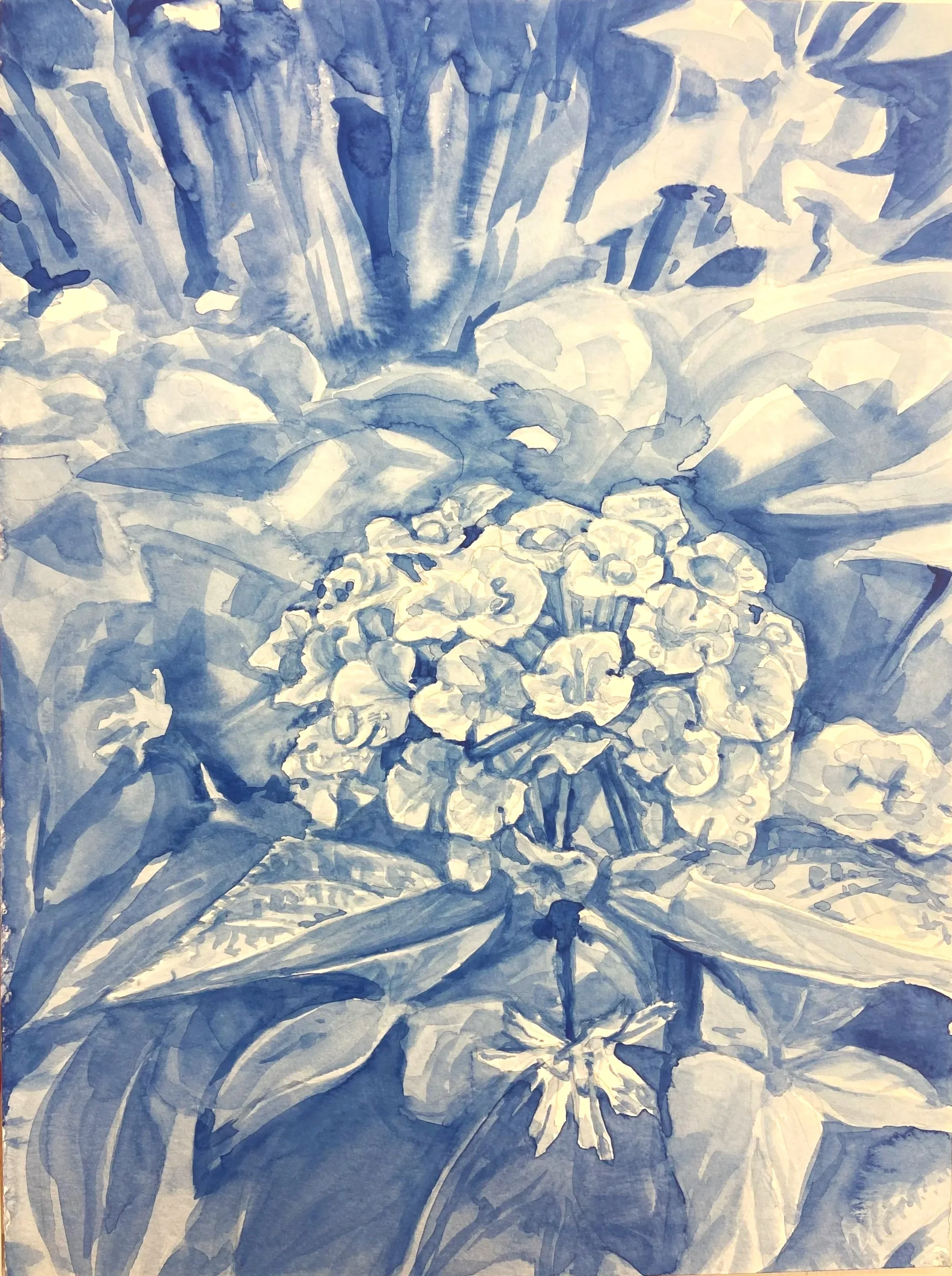 Monochrome Lantana - Watercolor on Board - 2025