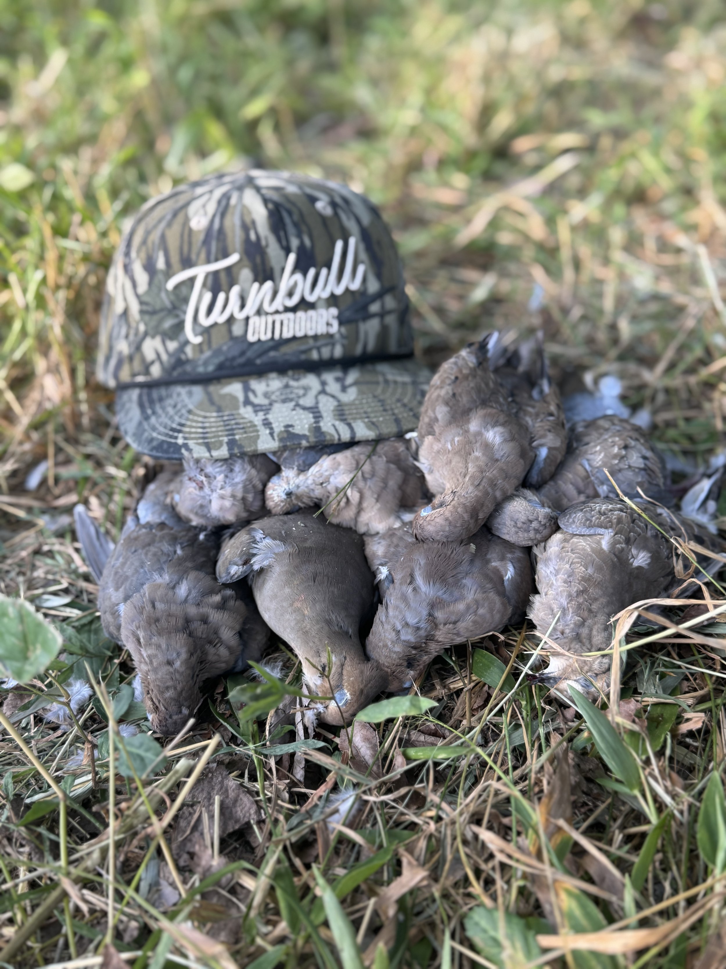 A camouflage hat resting on a pile of dead birds in a grassy environment.