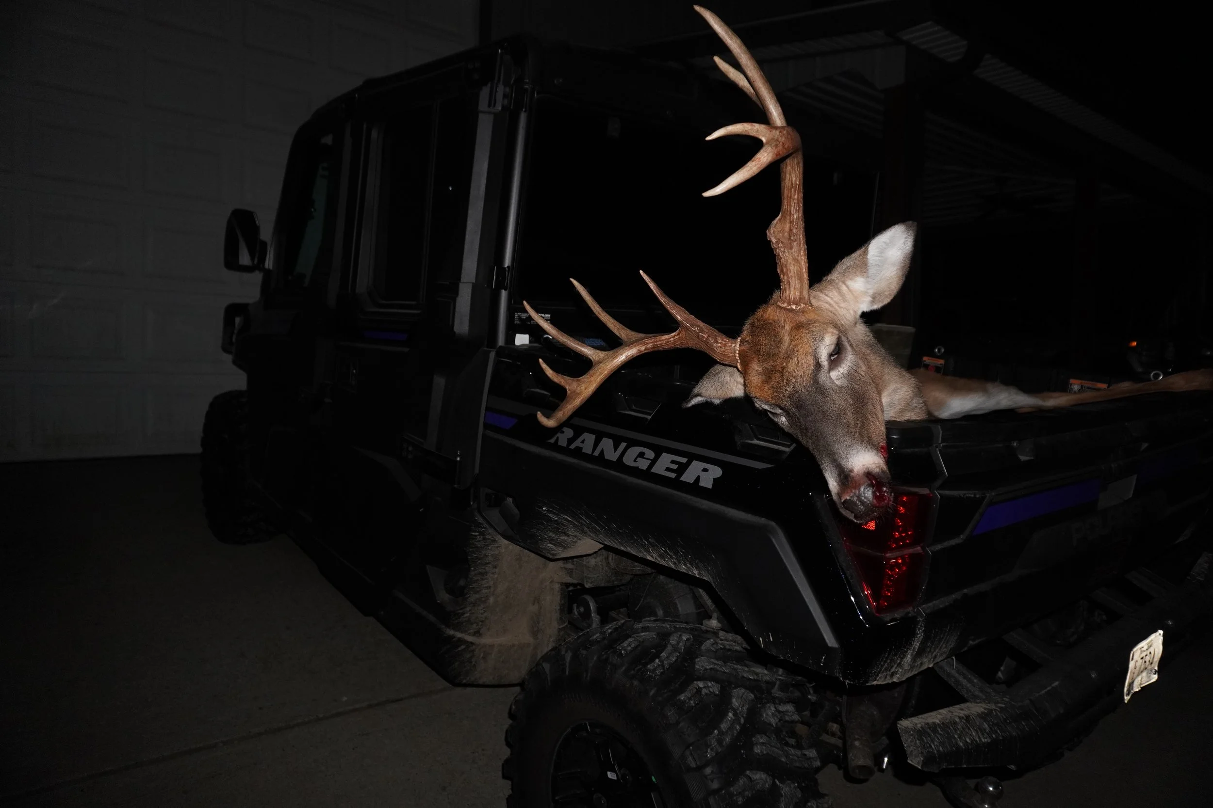 A deer with antlers lying in the bed of a black utility vehicle parked inside a garage.