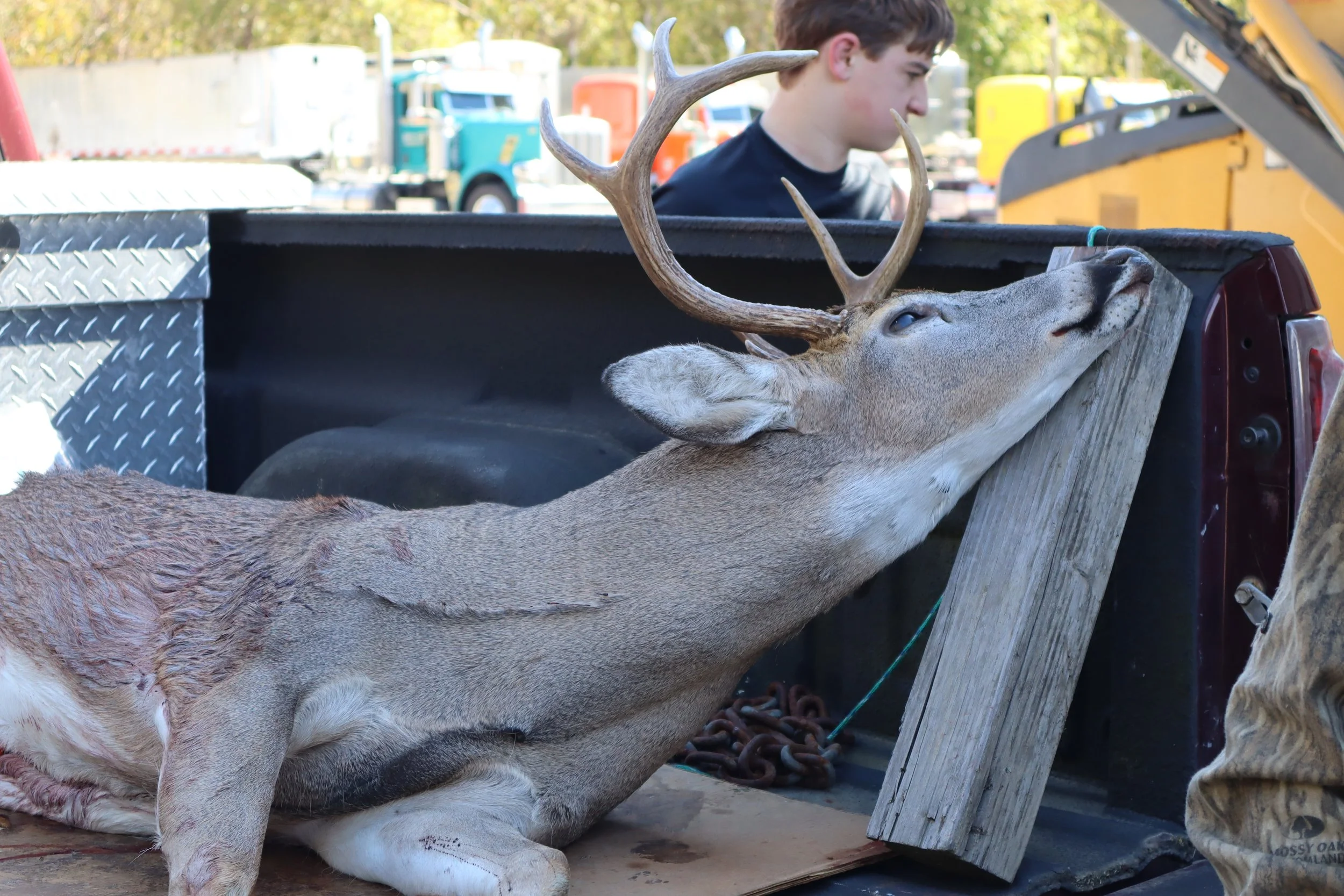 1st Annual Young Buck Classic