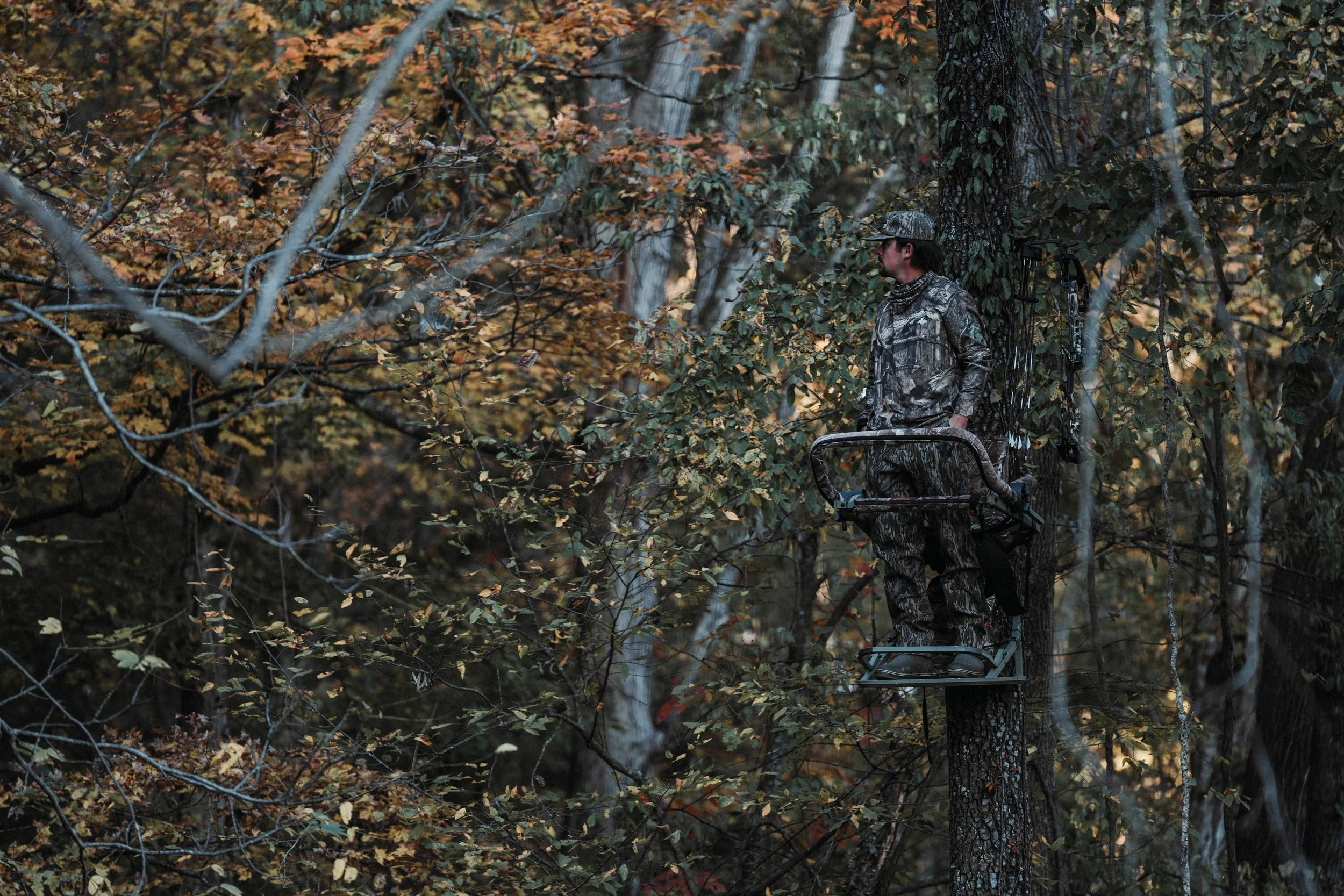 A person dressed in camouflage clothing standing in a dense forest with autumn leaves, holding a bow on their back and looking to the right.