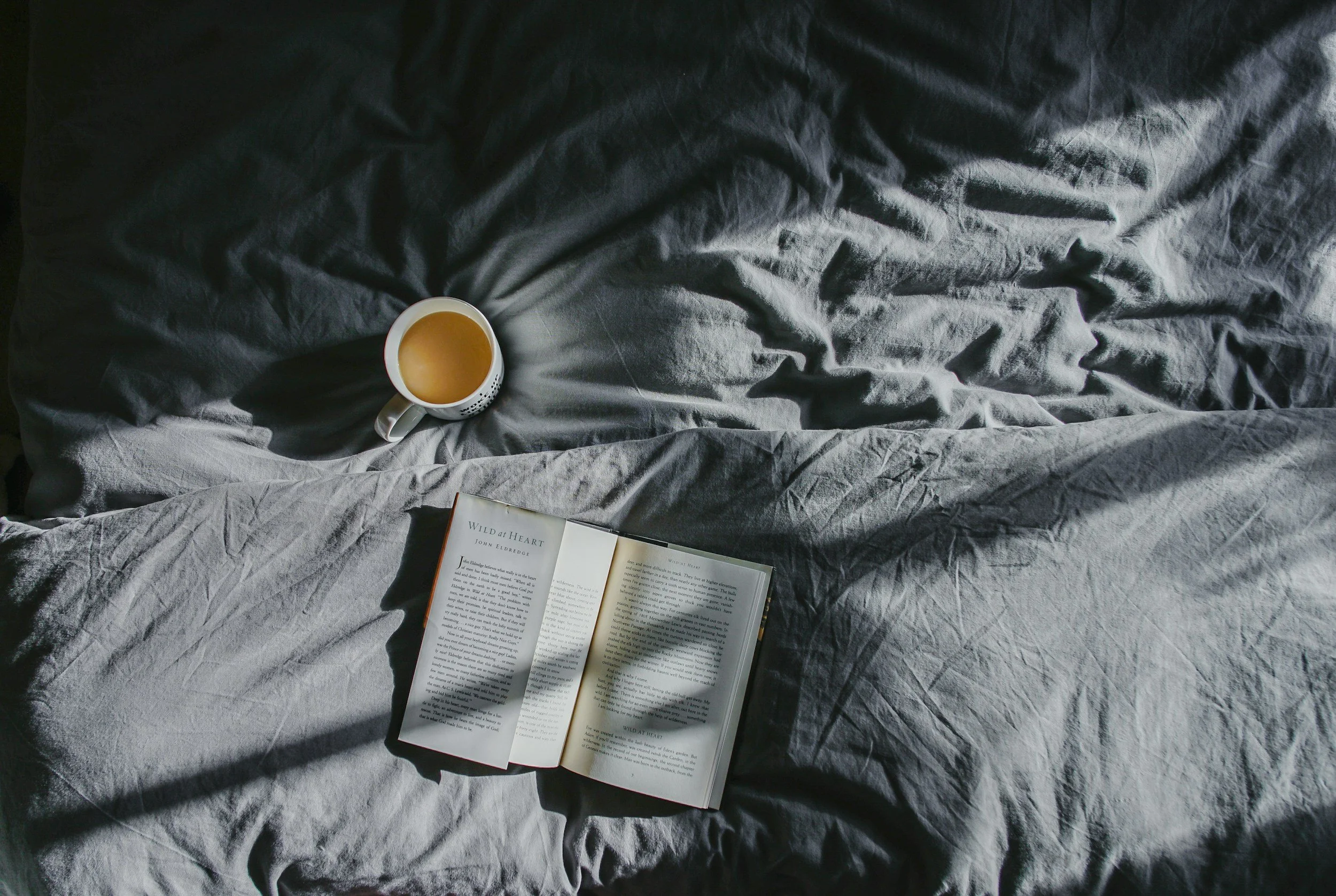 Sleep therapy, CBT-I for insomnia, sleep & gut health