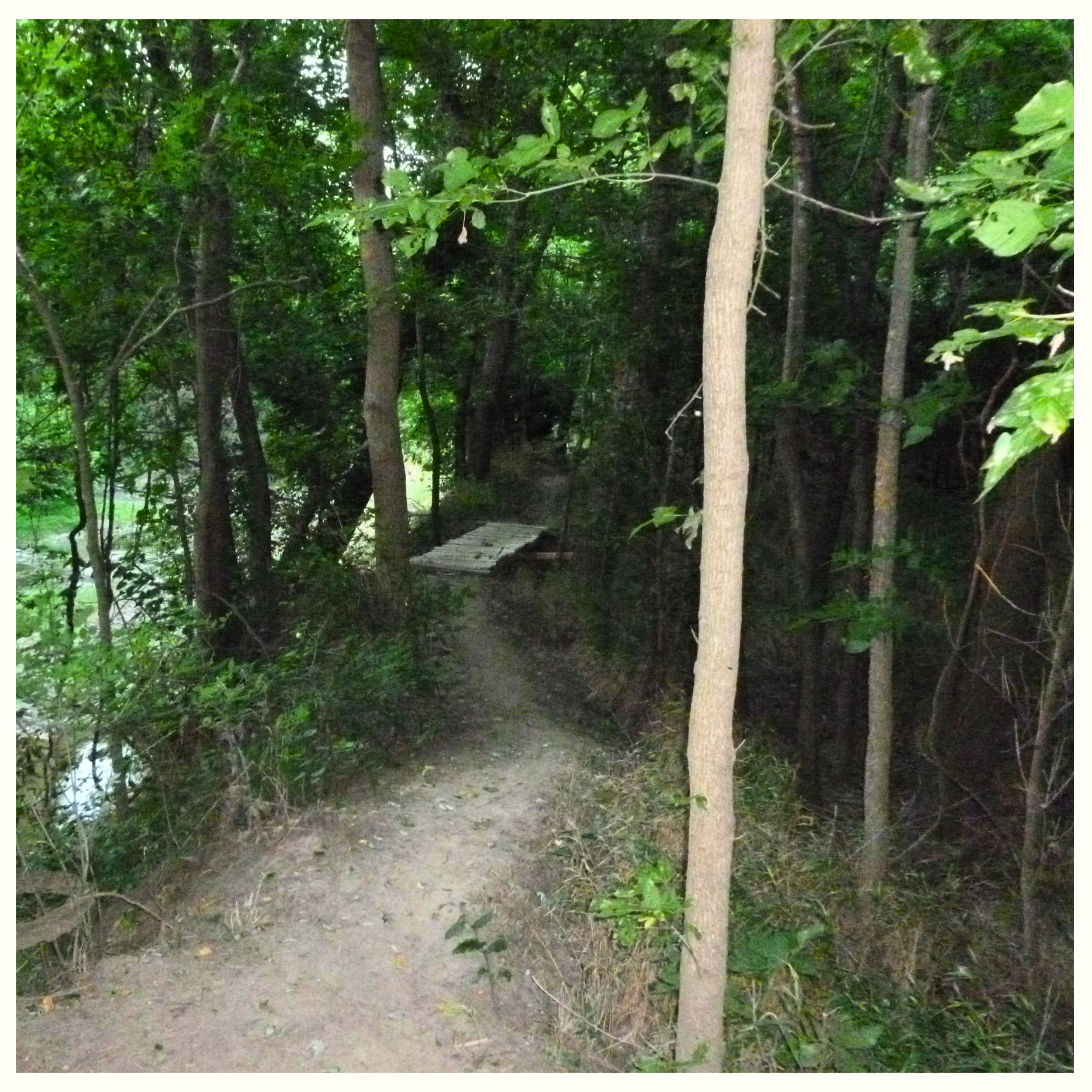 HIKE THROUGH THE WOODS