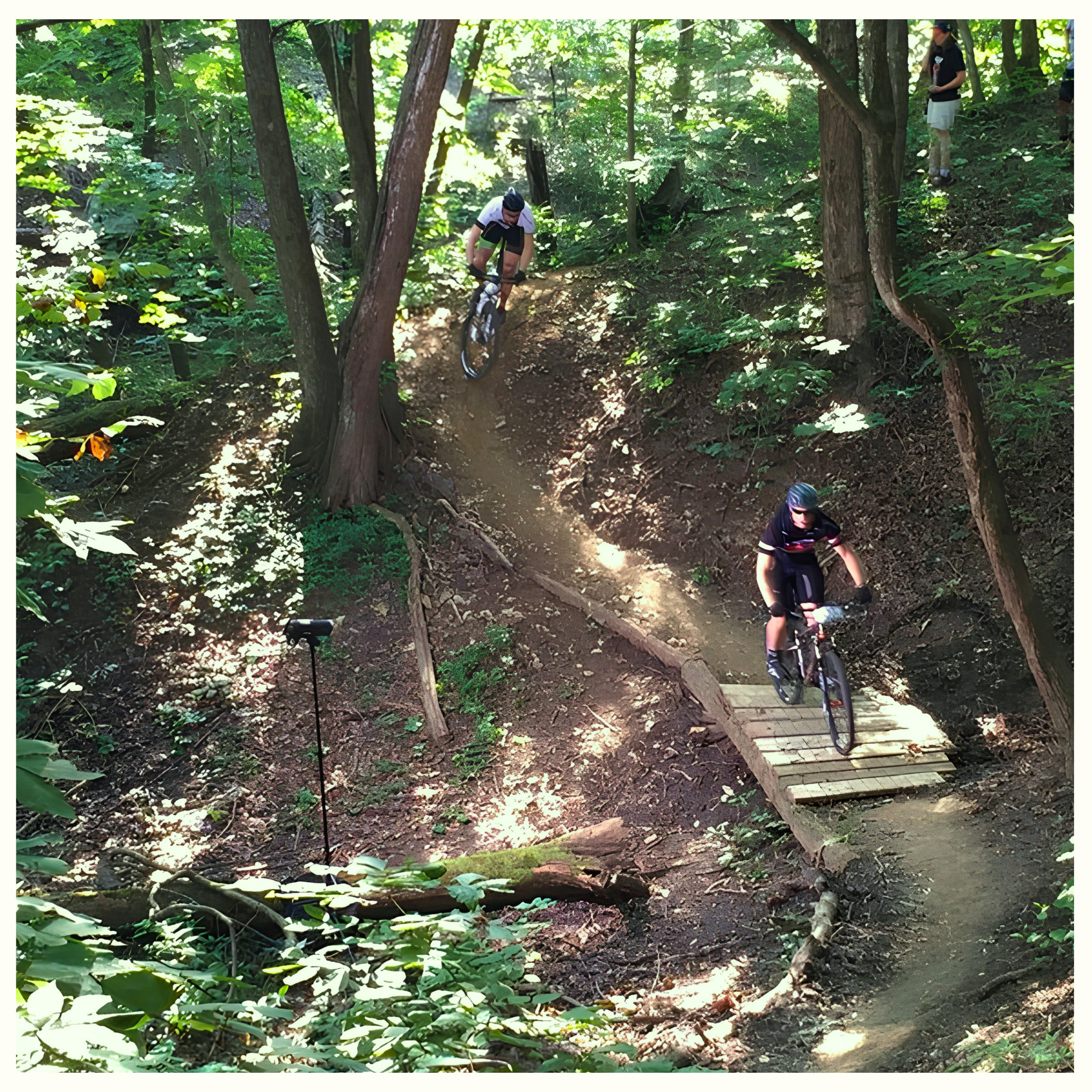 BIKER'S PARADISE IN GUNN PARK