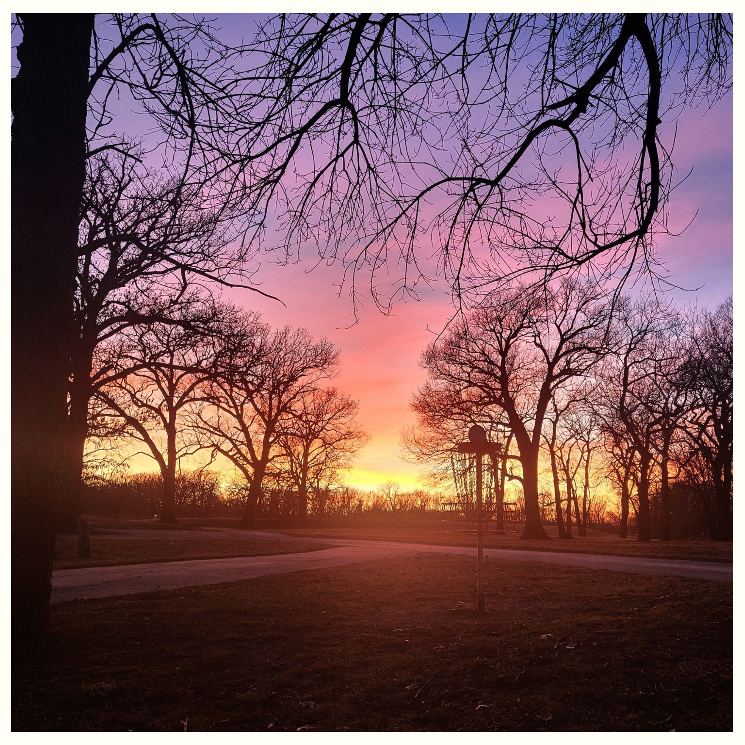 SUNSET DISC GOLF IN GUNN PARK