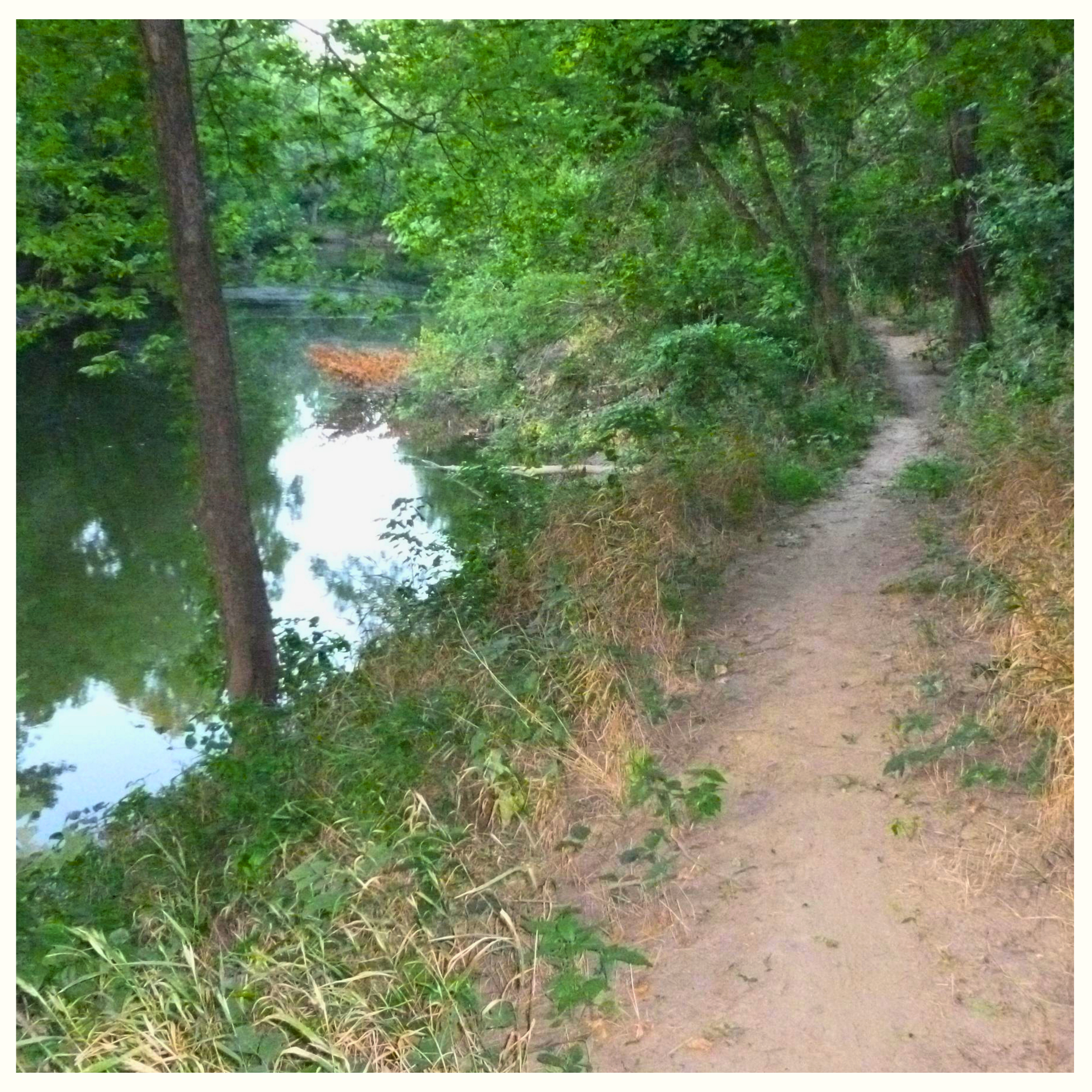 TRAILS BY THE RIVER IN GUNN PARK!