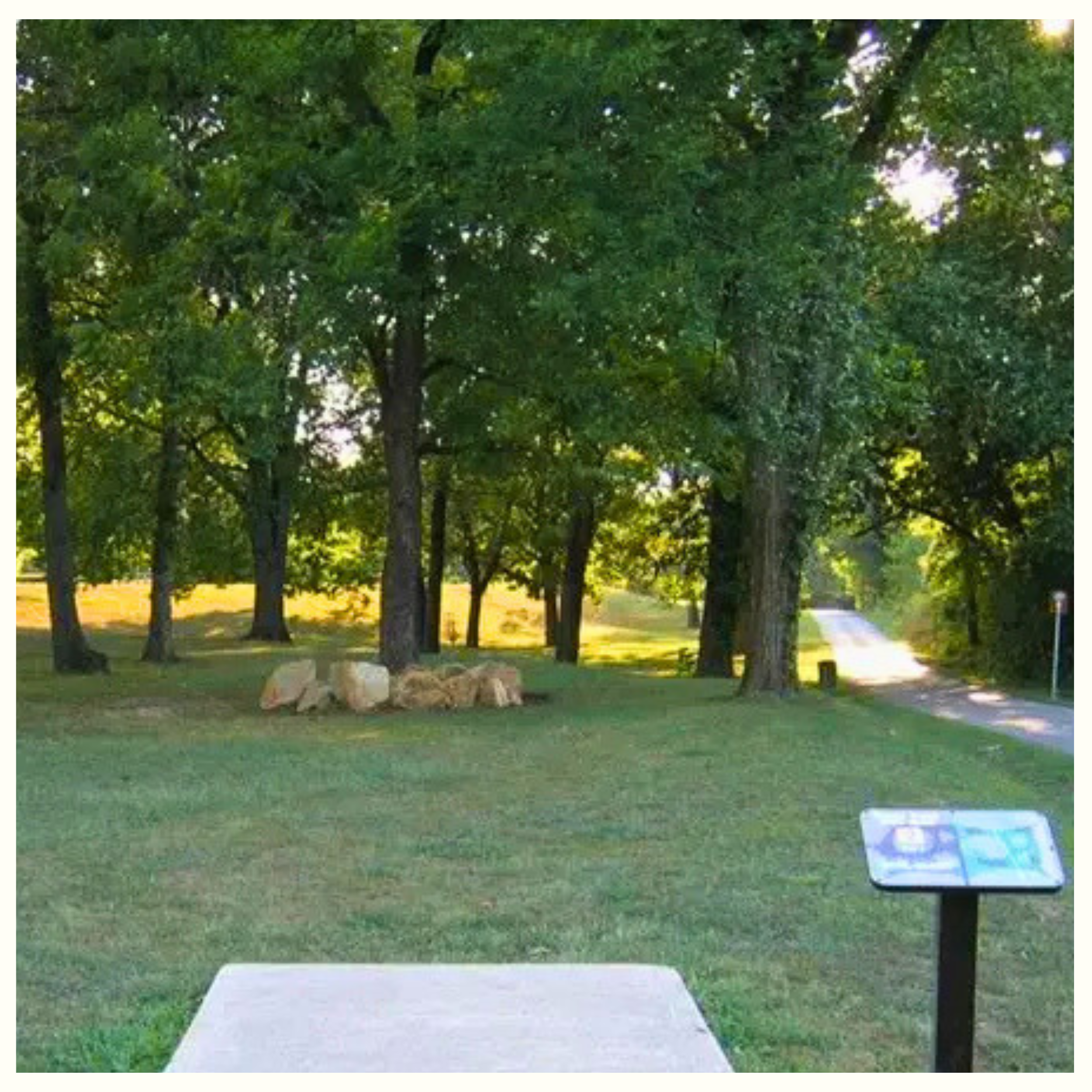 18 HOLE DISC GOLF COURSE IN GUNN PARK