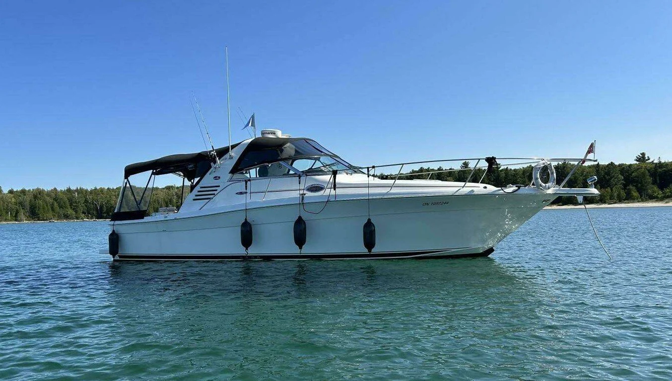 A white express style cruiser yacht floating on water with trees and a shoreline in the background under a clear blue sky. Sea Ray 340 Amberjack, 2001 model year boat pictured at anchor on Georgian Bay.