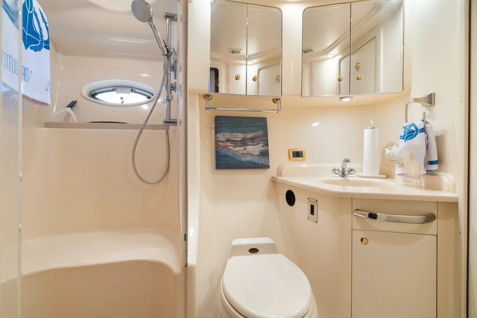 Marine washroom/ head with a shower area on the left, a toilet in the center, and a sink with a mirror cabinet above on the right. Wall decor and toiletries are visible. Sea Ray yacht.