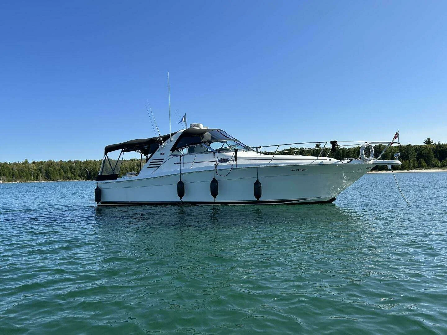 A white Sea Ray boat with black accents floating on calm water under a clear blue sky, with a tree-lined shoreline in the background.