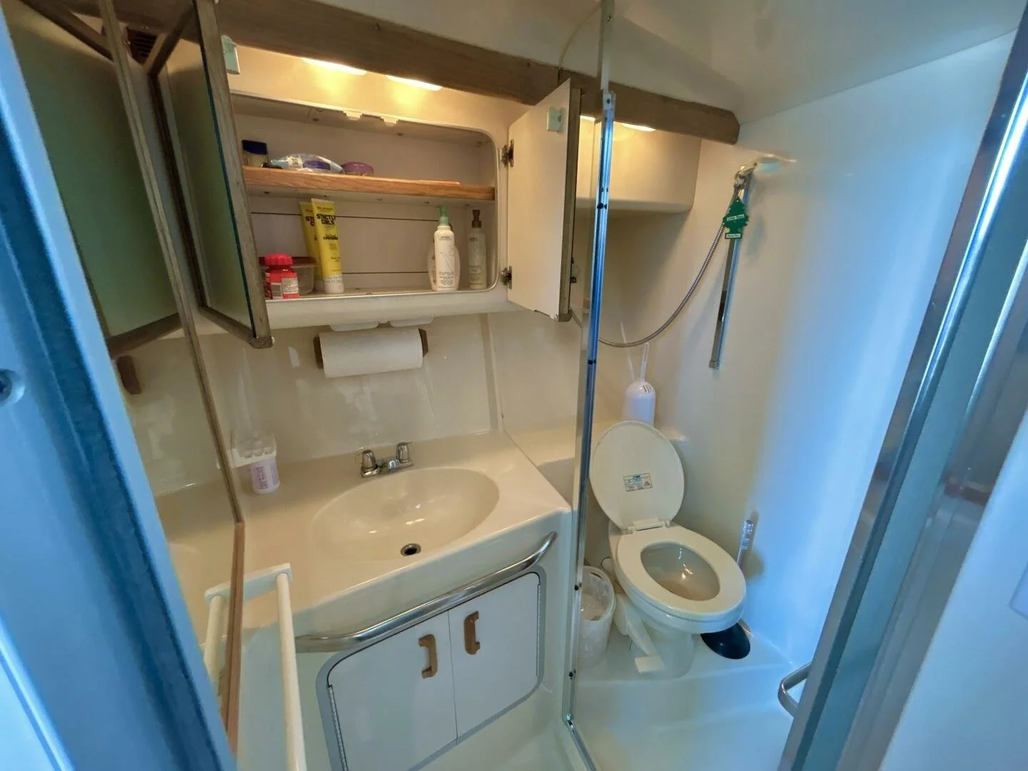Bathroom / head on Sea Ray boat, with a compact sink and cabinet, a toilet, and a mirrored medicine cabinet with open doors showing toiletries. A shower area with a mounted hand-held showerhead and a partial glass door is visible.