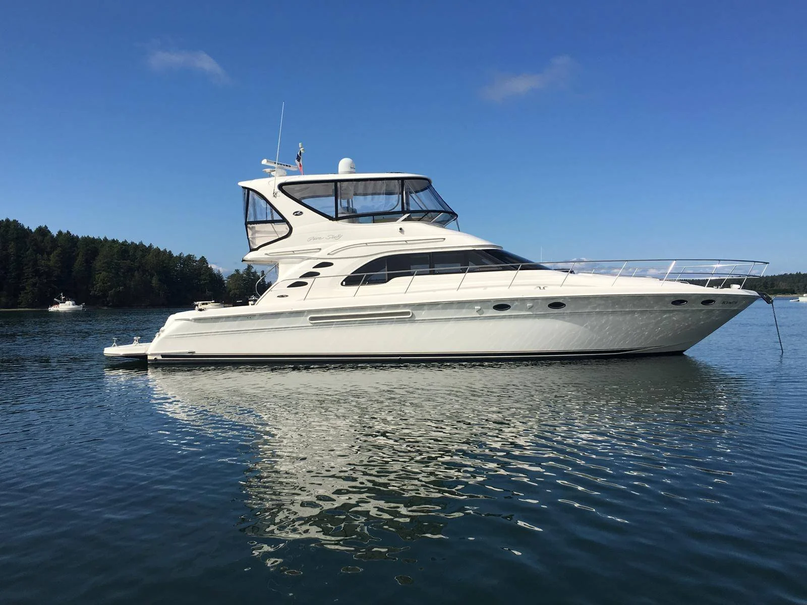 A white luxury yacht floating on calm water with a forested shoreline in the background under a clear blue sky. Boat is a Sea Ray 560 Sedan Bridge.