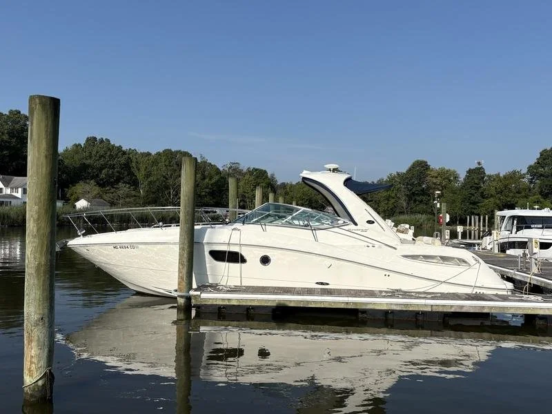White yacht docked at a marina with trees and other boats in the background under a clear blue sky. Focus is on a Sea Ray 350 Sundancer.