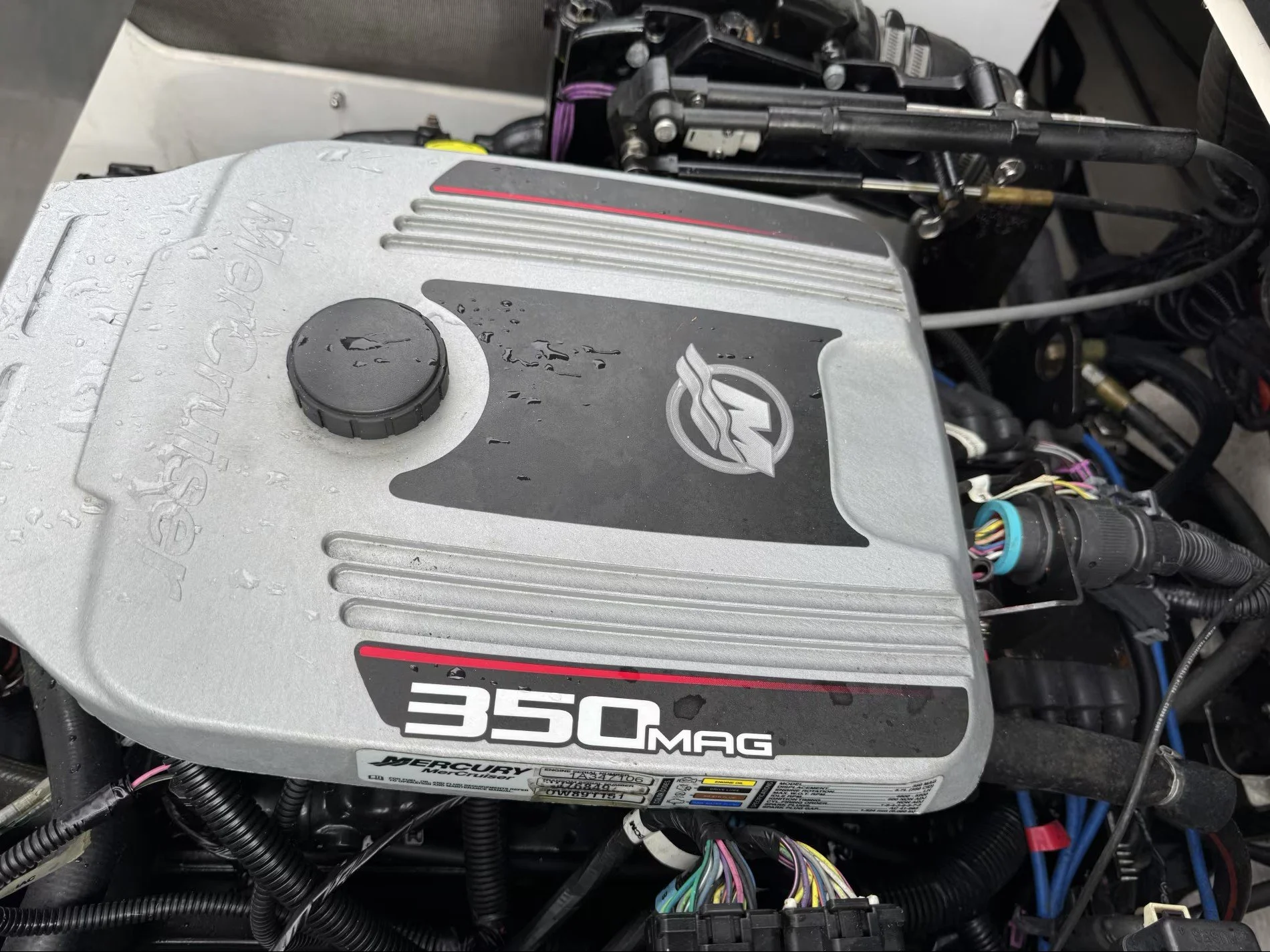 2007_210 Select_a_012.jpg