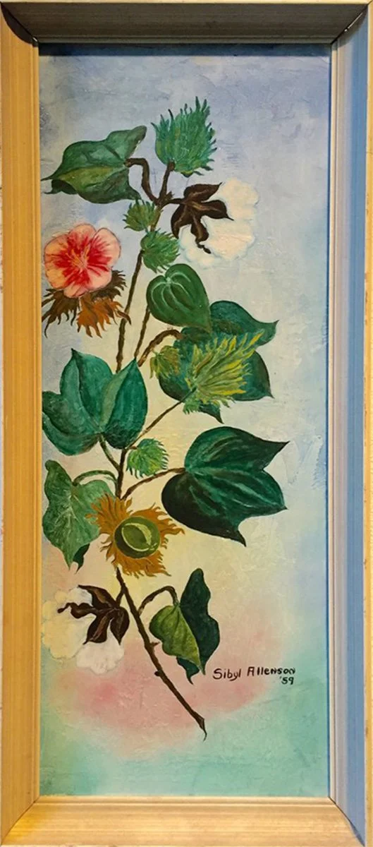 Sybil O. Allenson  "Cotton Top"
