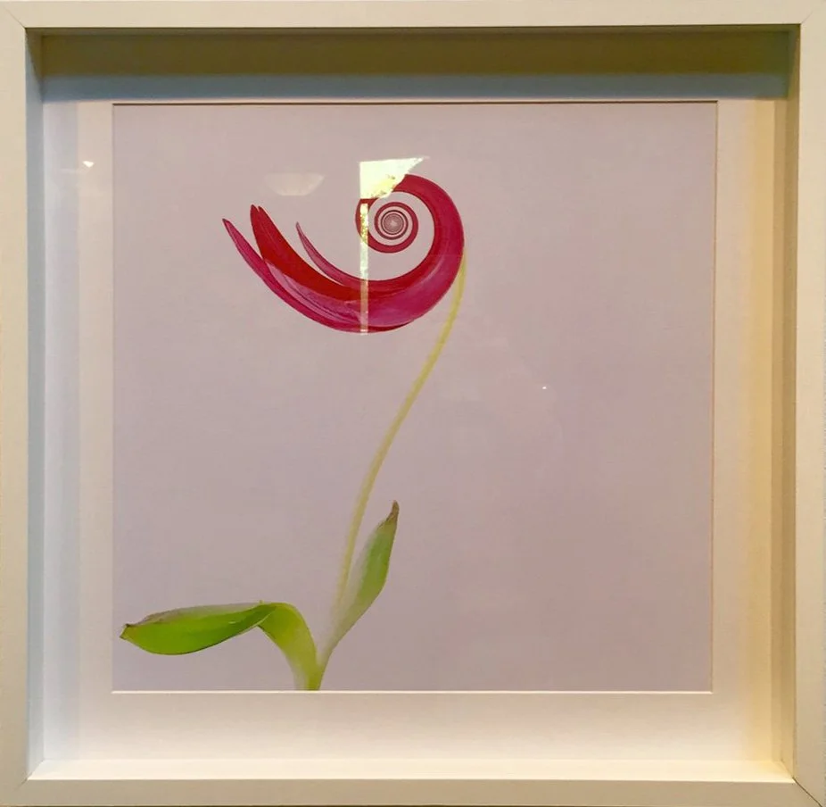 Lisa Waddell  "Happy-Go-Lucky"