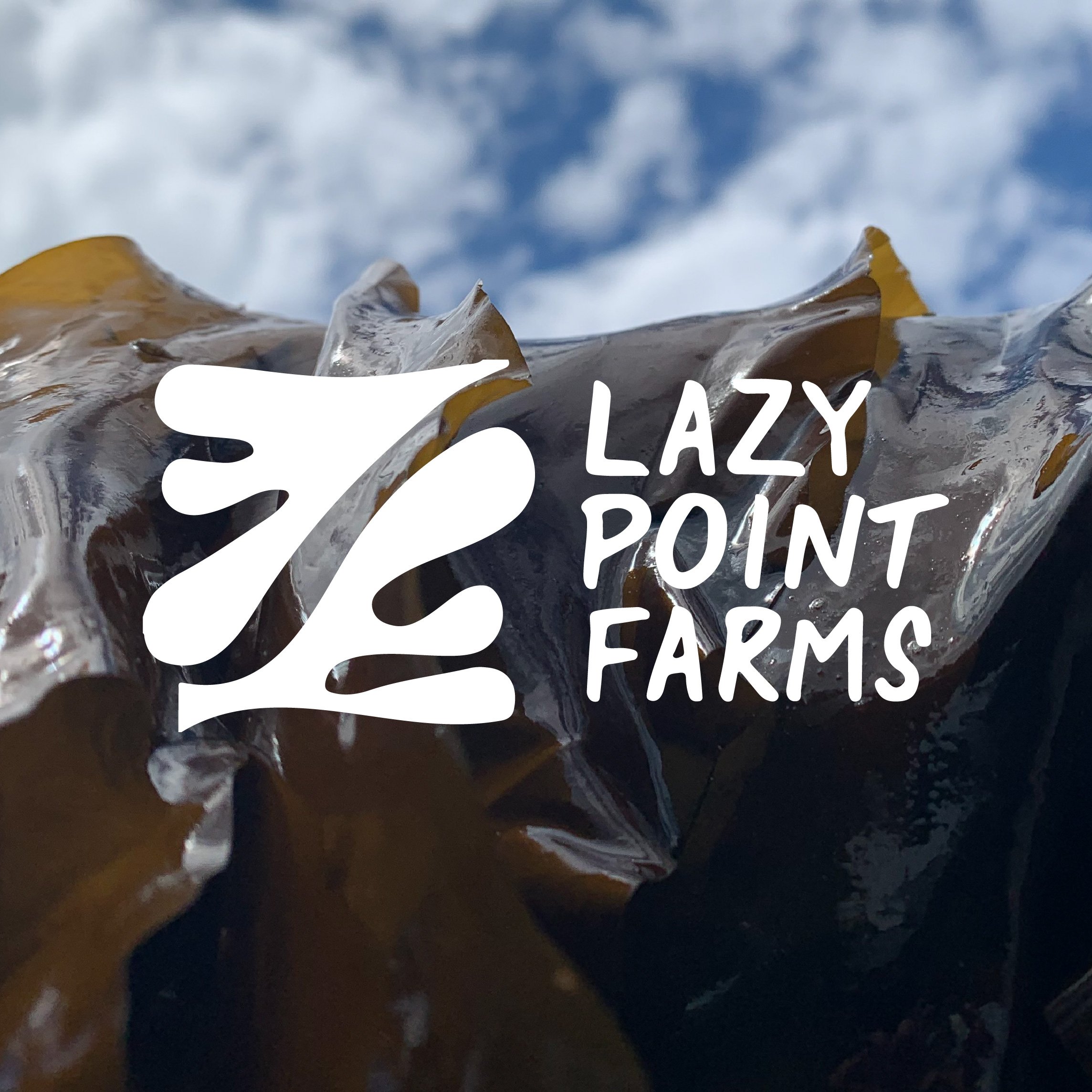 Lazy Point Farms