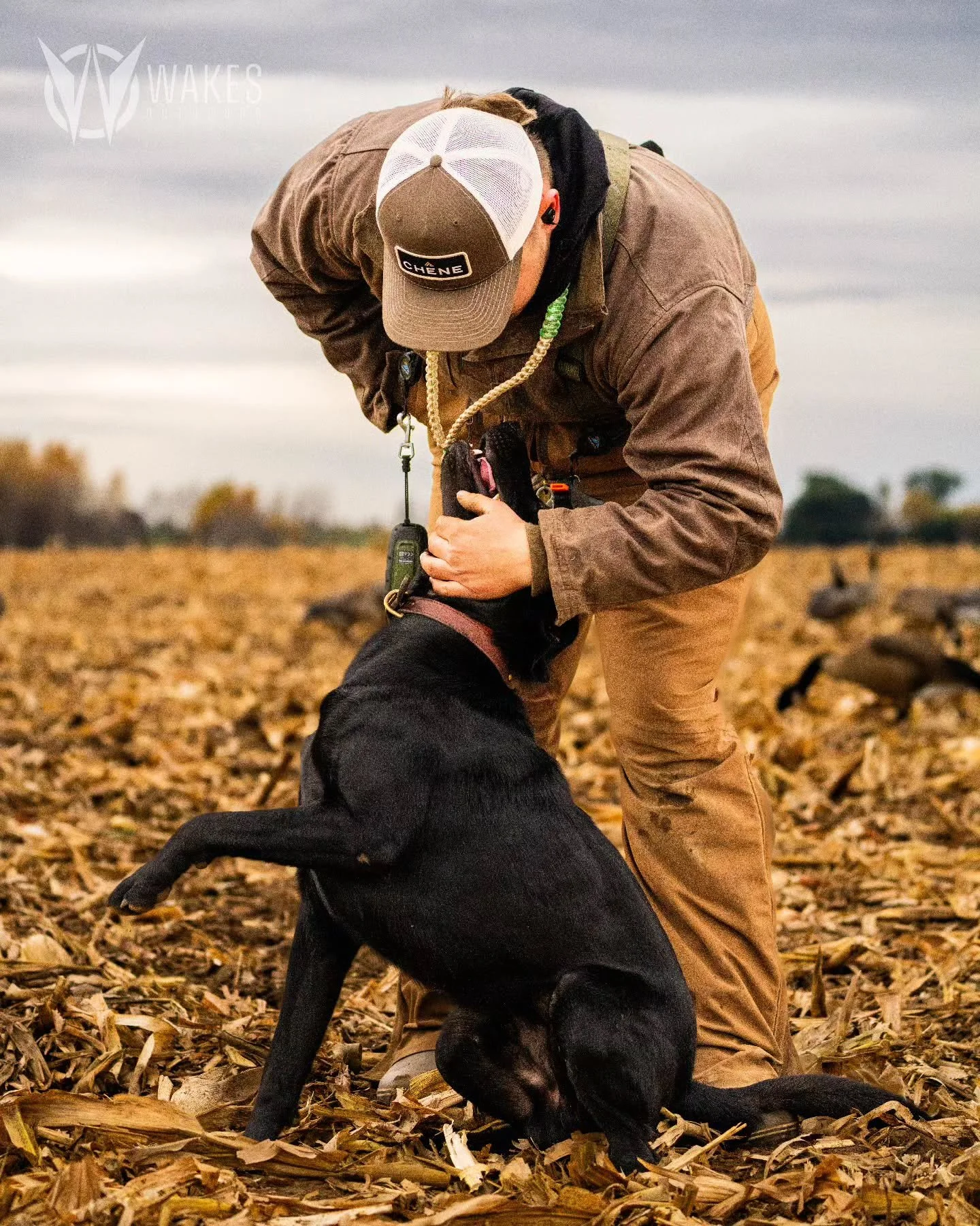 Those in-between moments are what we live for. Piles are great, but blind banter and good dogs will always take the cake! Gotta keep it in perspective!

#withoutexcuse #wakesoutdoors #wisconsin #canadageese #blacklabrador #ch&ecirc;ne #sonyalpha