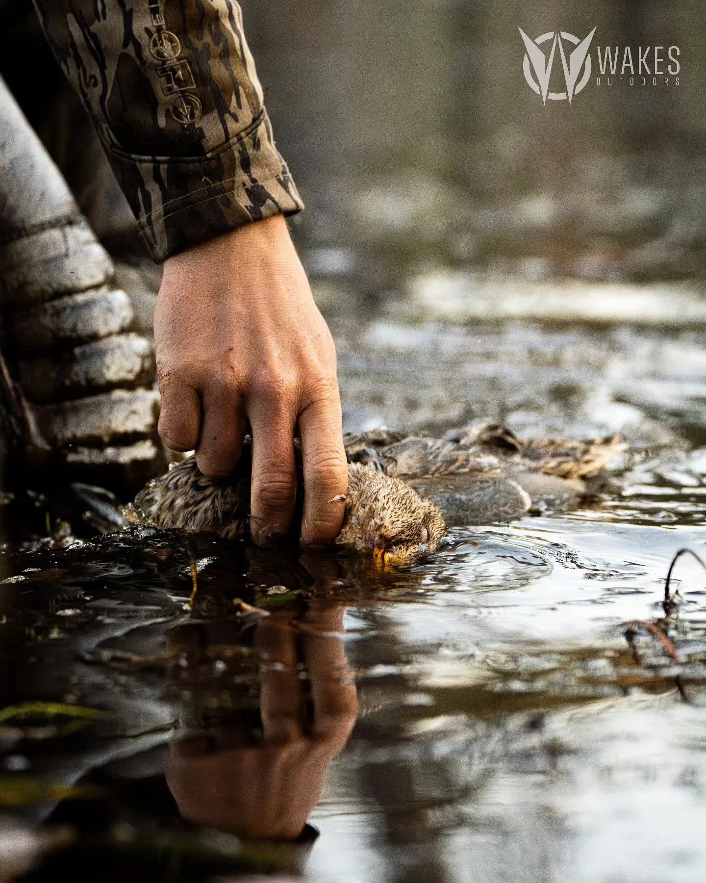 No store-bought handwarmer can replace this feeling. Glad you're here, November. 

#withoutexcuse #november #gooutdoors #wisconsin #mallards #colderweather #sonyalpha #lightroom