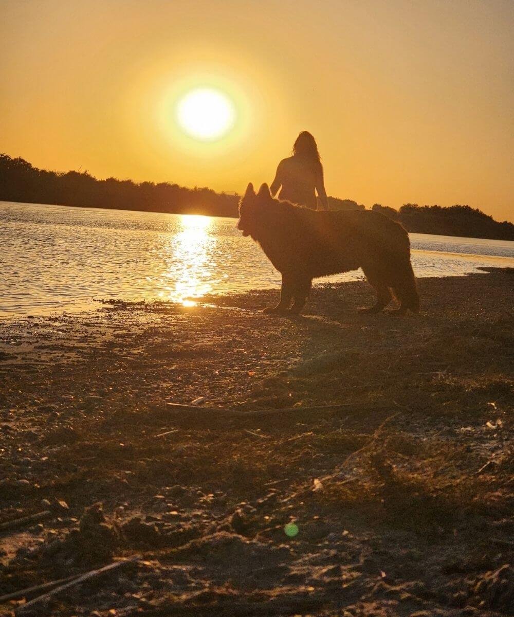 A woman and a german shepherd in the sunset
