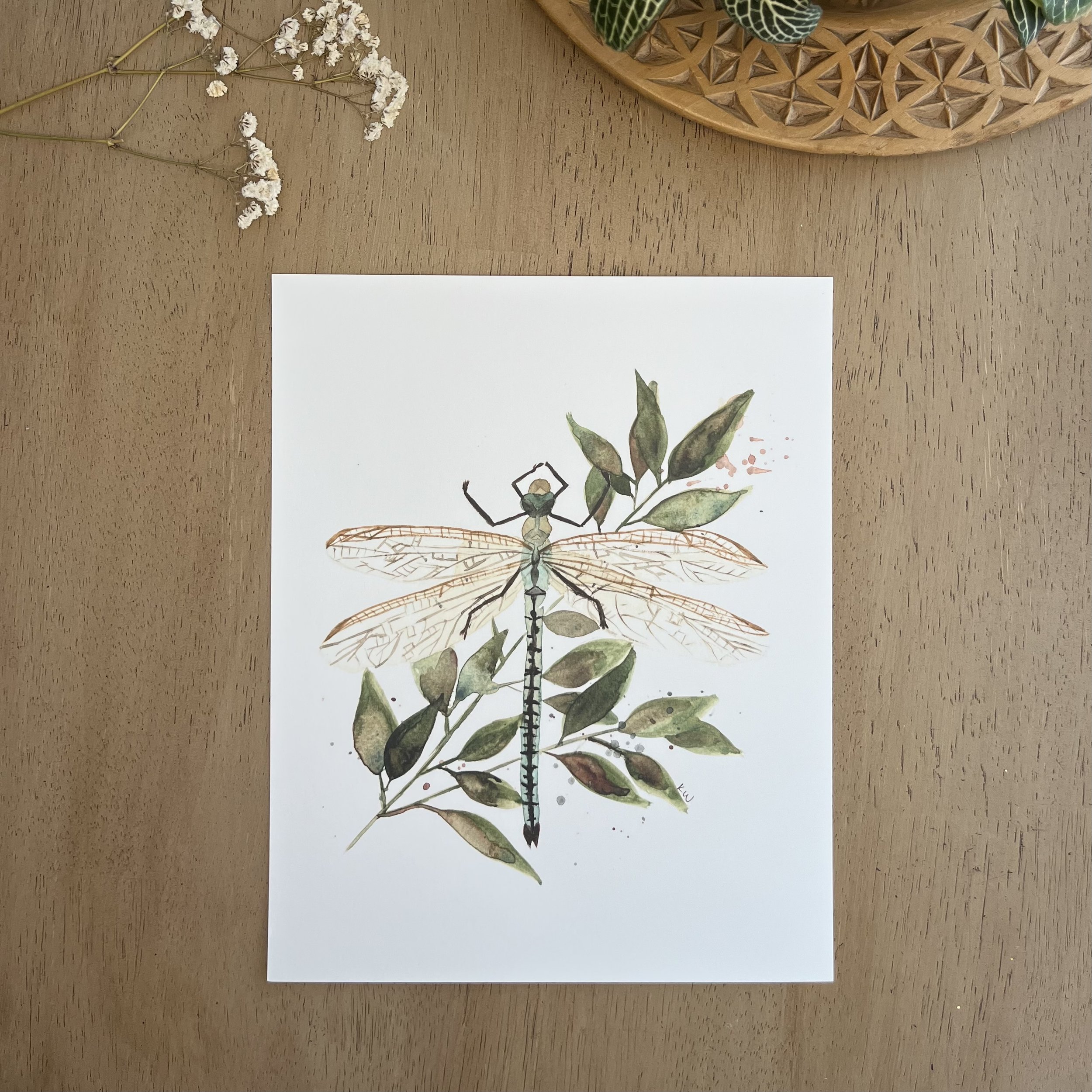 Botanical Dragonfly Print - Watercolor Insect Art