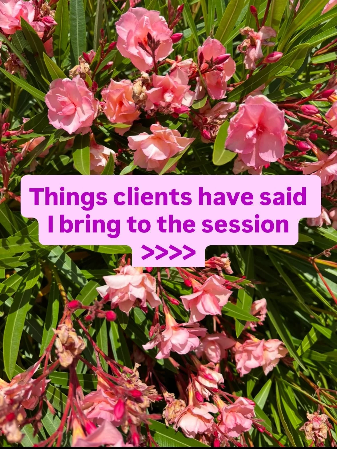 ✨ Things clients have said I bring to the session >>> 

You&rsquo;re clear, precise, and I feel we&rsquo;re moving forward in what I&rsquo;m working on 

I like your energy 

You make me feel comfortable 

You stop things from feeling overwh