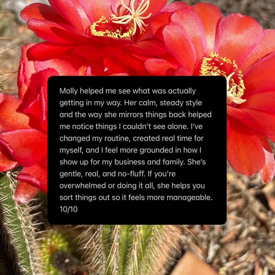 ✨ Client Testimonial ~ this client sent me the most reflective email after our sessions. I was blown away reading the shifts they had seen in themselves ✨ 

#QualifiedLifeCoach #ClientLove #Testimonial