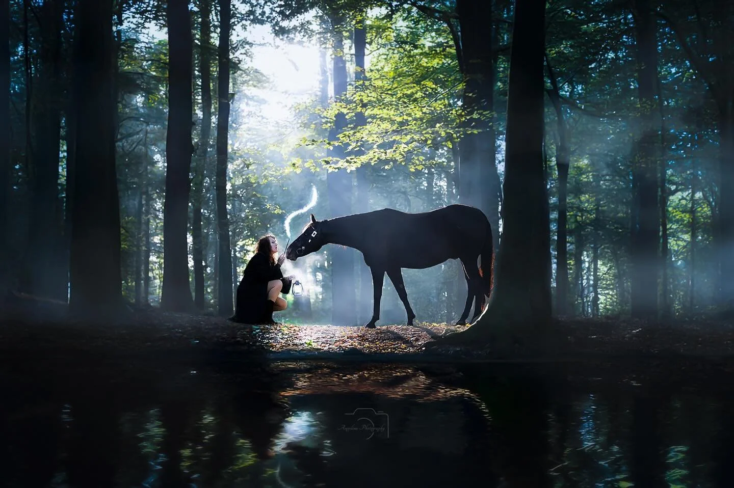 So kommen wir jetzt zum Fantasy Teil 🤗🫶

&bull; Julia &amp; Frosty &bull;

#fantasy #fantasyart #fotoshooting #fotografie #fotografin #tierfotografie #tierliebe #tierfotografin #tierfotografinnrw #m&uuml;nsterland #sea #see #horseshooting #horse #n