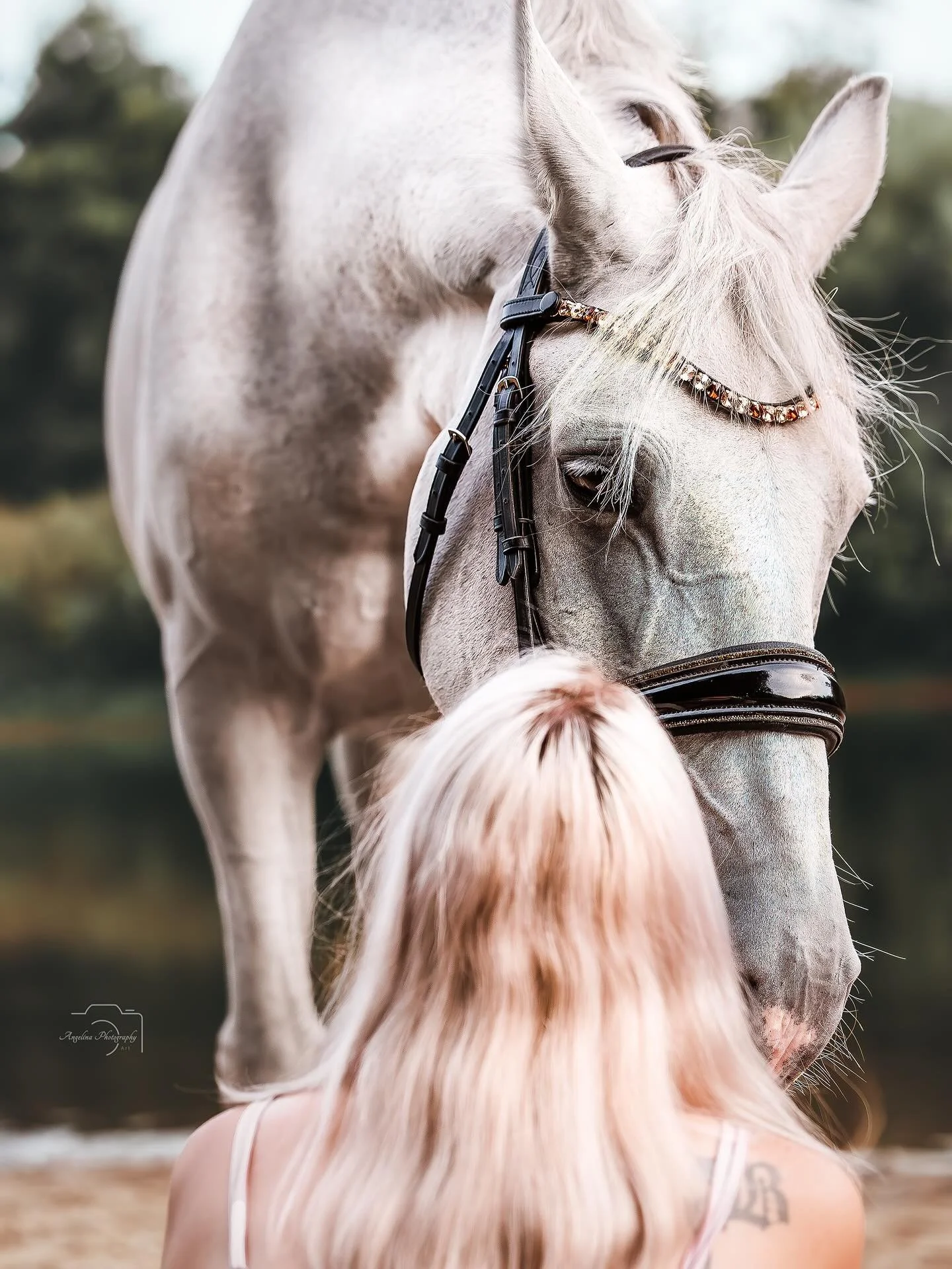 Liebe braucht nicht immer Worte ❤️

#horseshooting #horse #photographer #pferde #pferdeshooting #pferdeliebe #pferdefotografin #pferdeforografinm&uuml;nsterland #tierfotografin #tierfotografie #tierliebe #tierfotografin #nrw #m&uuml;nsterland #beauti
