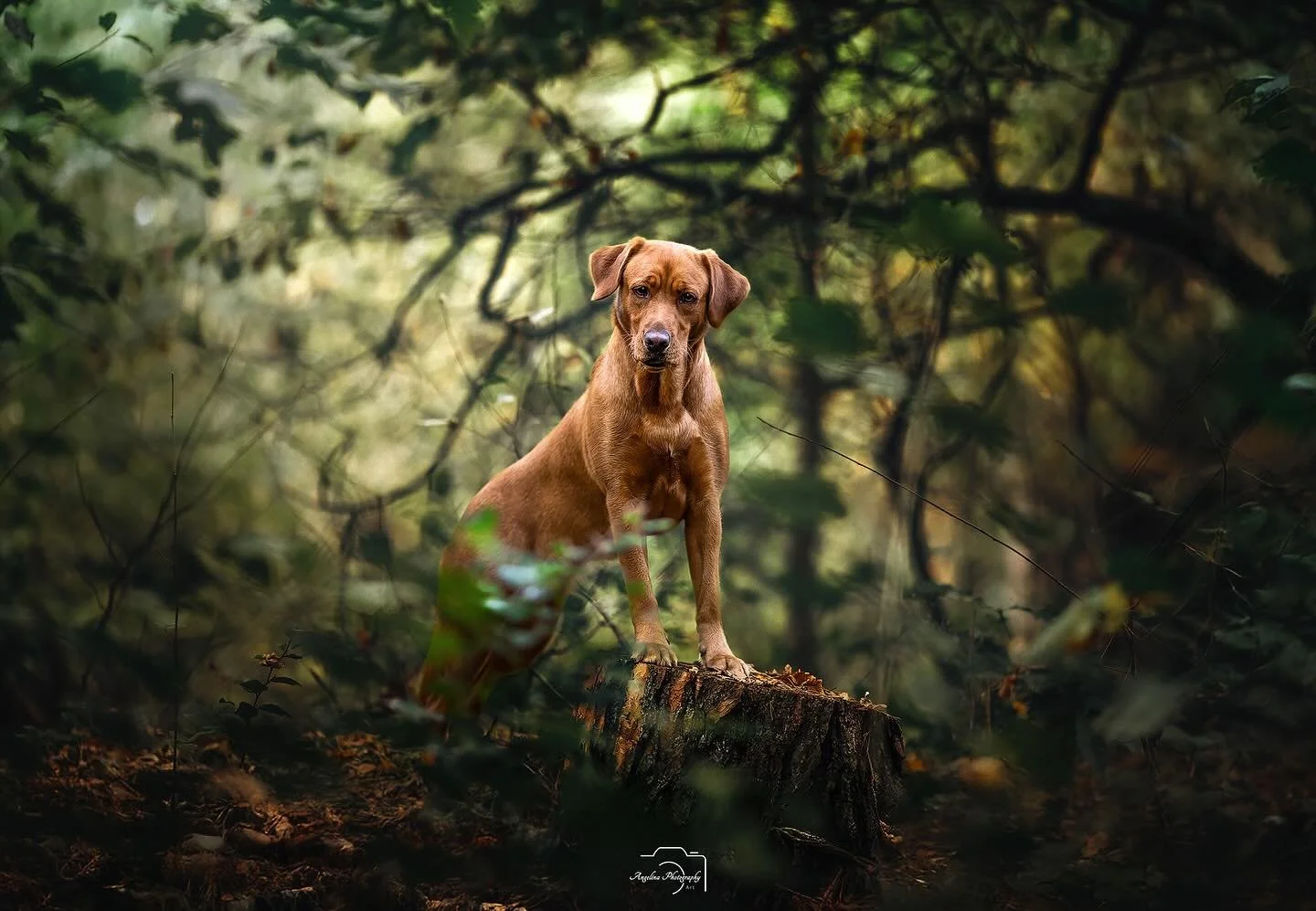 Guten Morgen 🤗

So nach langer Zeit auch mal wieder was von mir. 

Nachdem ich fast 14 Tage krank geschrieben war aufgrund eines Kapselrisses im Finger, steht heute wieder arbeiten auf dem Plan 🙈

Wie das funktioniert, ich habe ka. Ein Kapselriss b