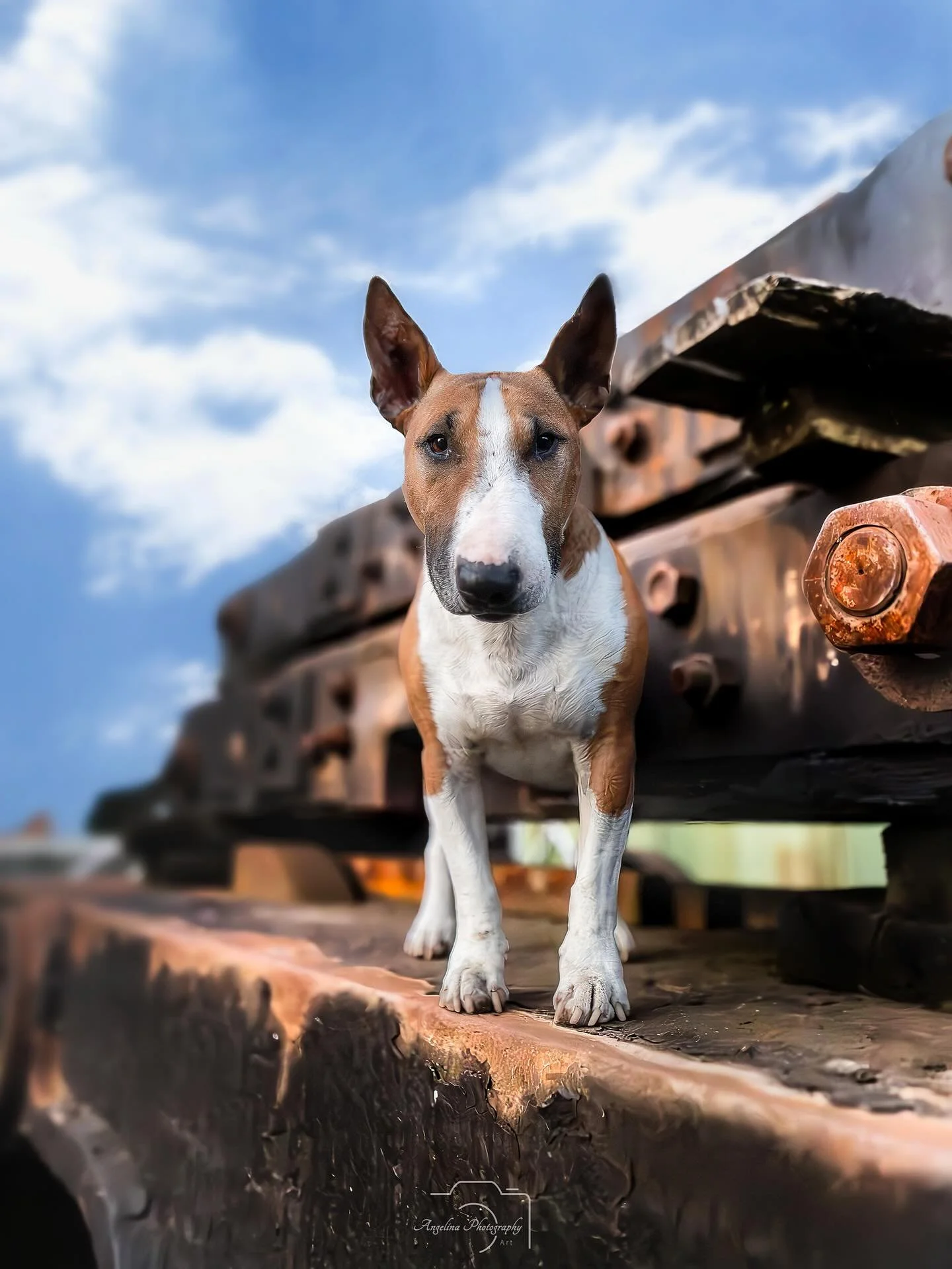 Guten Morgen ❤️

Demn&auml;chst stehen wieder ein paar Shootings auf dem Plan ☺️
Allerdings habe ich noch so viele Bilder die ich euch aus vergangenen Shootings zeigen m&ouml;chte...

Wie viele Bilder sollte ich posten? 

#sweet #shooting #photograph