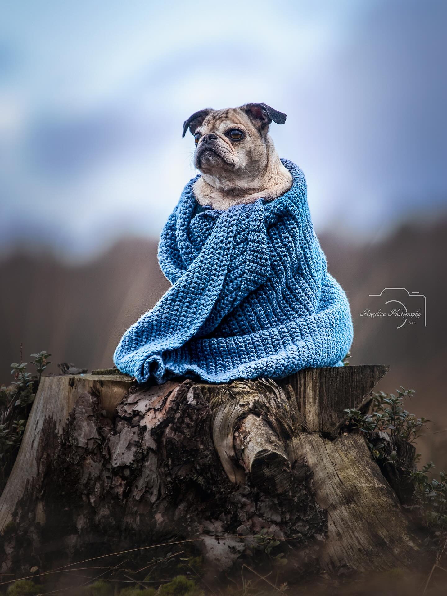 Passend zum Herbst Wetter gibt's heute mal nen Bild mit Kuschel Stimmung 🙈

Die n&auml;chsten Tage ist ja nicht so tolles Wetter gemeldet...🙁

Richtig toll 🫣 NICHT! 

Was macht ihr bei diesem tollen Wetter? 🙈

#doglove #fotoshooting #shootingtime