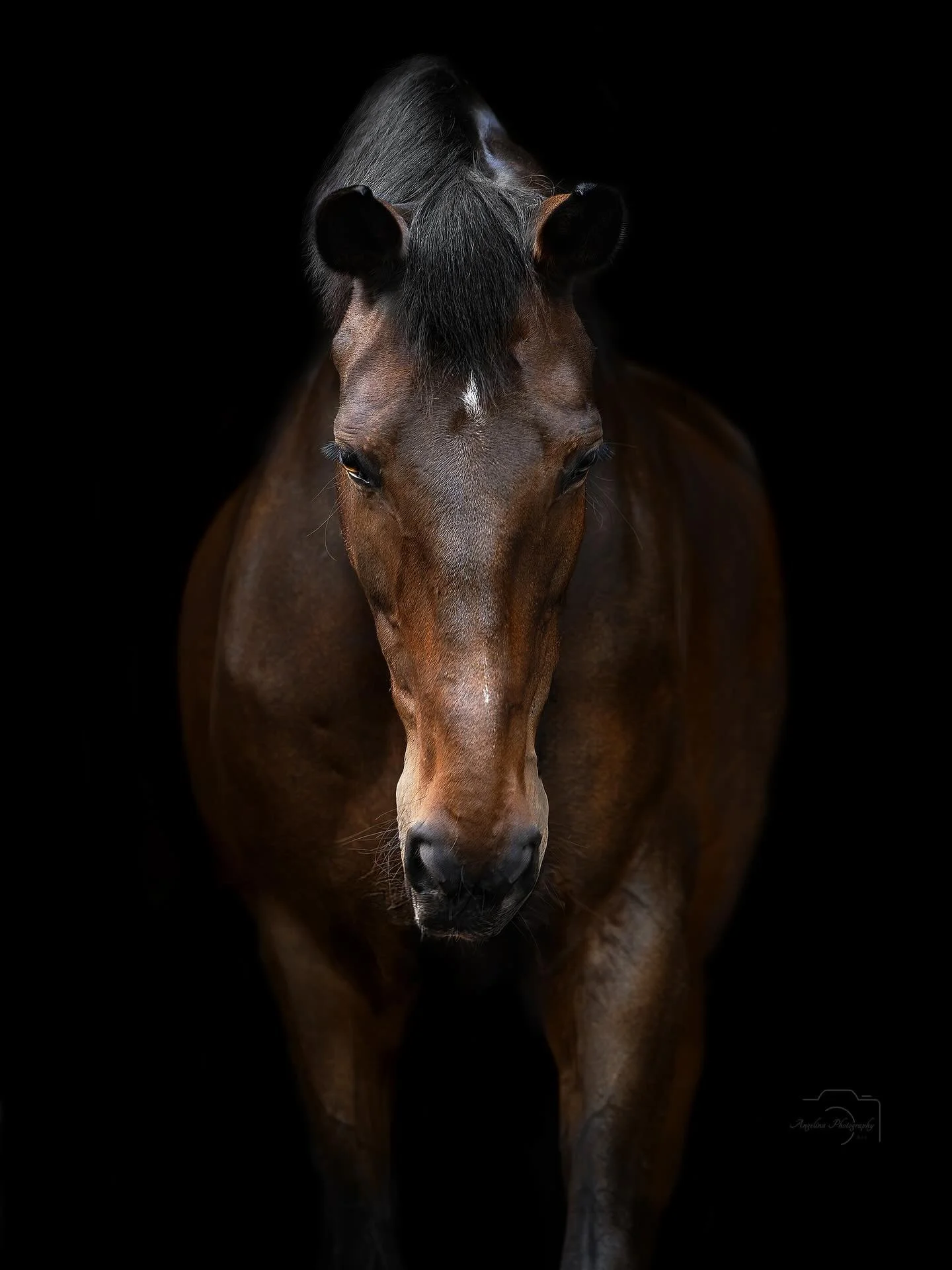 Heute ist es mal wieder so sch&ouml;n  d&uuml;ster und kalt draussen also gibt's auch mein ein d&uuml;steres Bild 🤗

Diese Wetter motiviert auch irgendwie zum nix tun 🙈

Ich darf allerdings gleich noch arbeiten und wenn ich nach Hause komme backe i