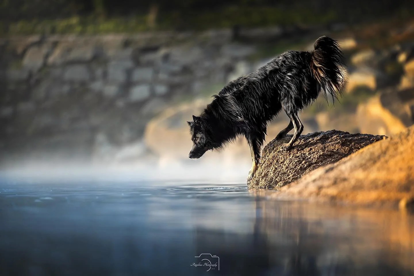 So endlich neues Jahr neue Inspirationen. Ich habe sehr viel vor 🫣

Also erstmal ein frohes neues Jahr 🥂
Heute Mittag und Nachmittag  sa&szlig; ich an den Planungen f&uuml;r meine Walks / Fotowalks. 
Ich werde die Tage exclusive Locations abfahren 