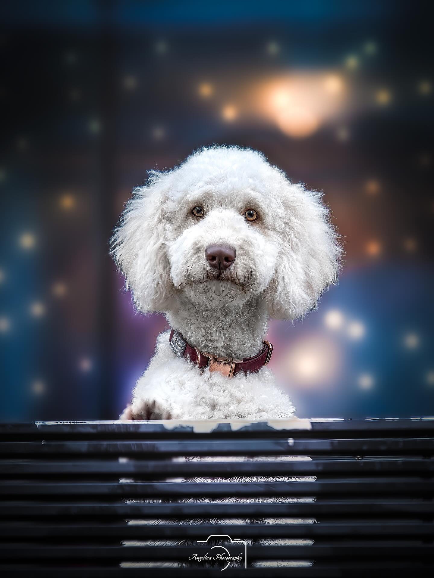 &bull; Fluse &bull;

Ratet mal worauf ich noch Bock habe bevor ich die Kamera f&uuml;r eine lange Zeit zur Seite legen muss. Richtig noch einmal richtig Fotos in der City von M&uuml;nster oder D&uuml;sseldorf machen 🥰

Denke das ich f&uuml;r dort no