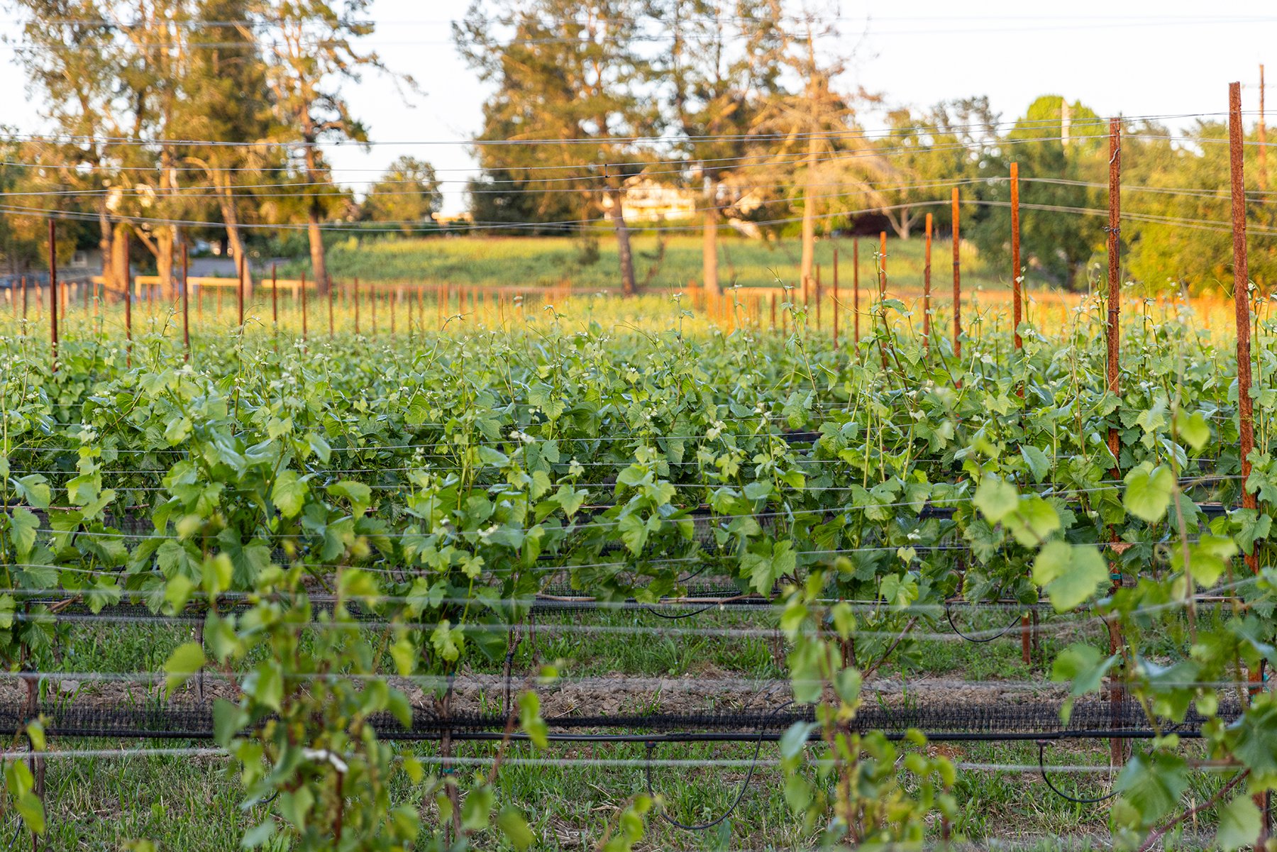 2000 Amenities-010.jpg