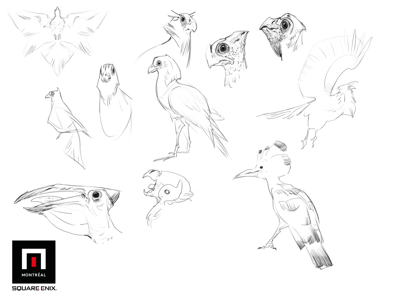 Creature_Sketches_001.png