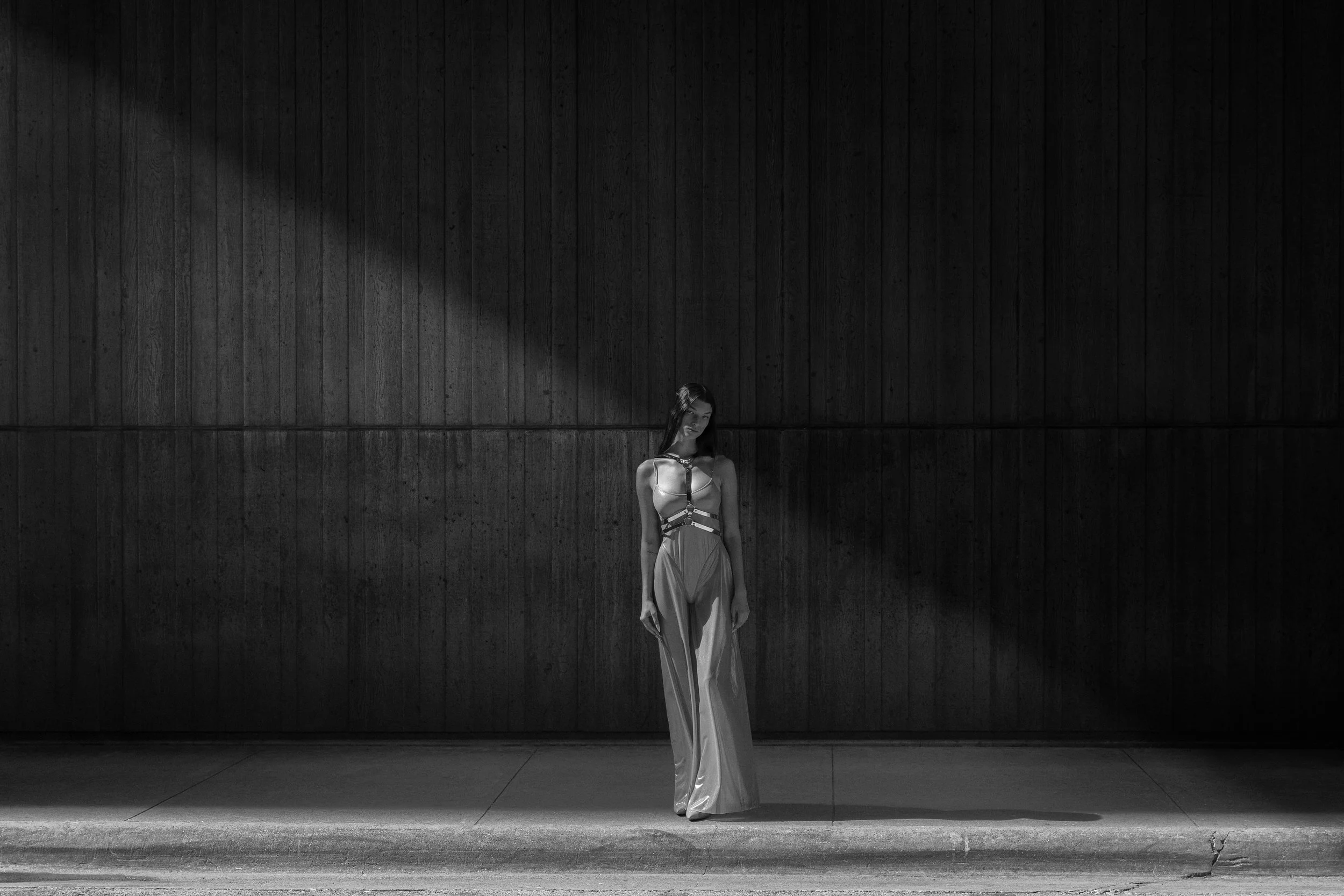Woman standing under dramatic light in front of dark wooden wall, wearing elegant dress.
