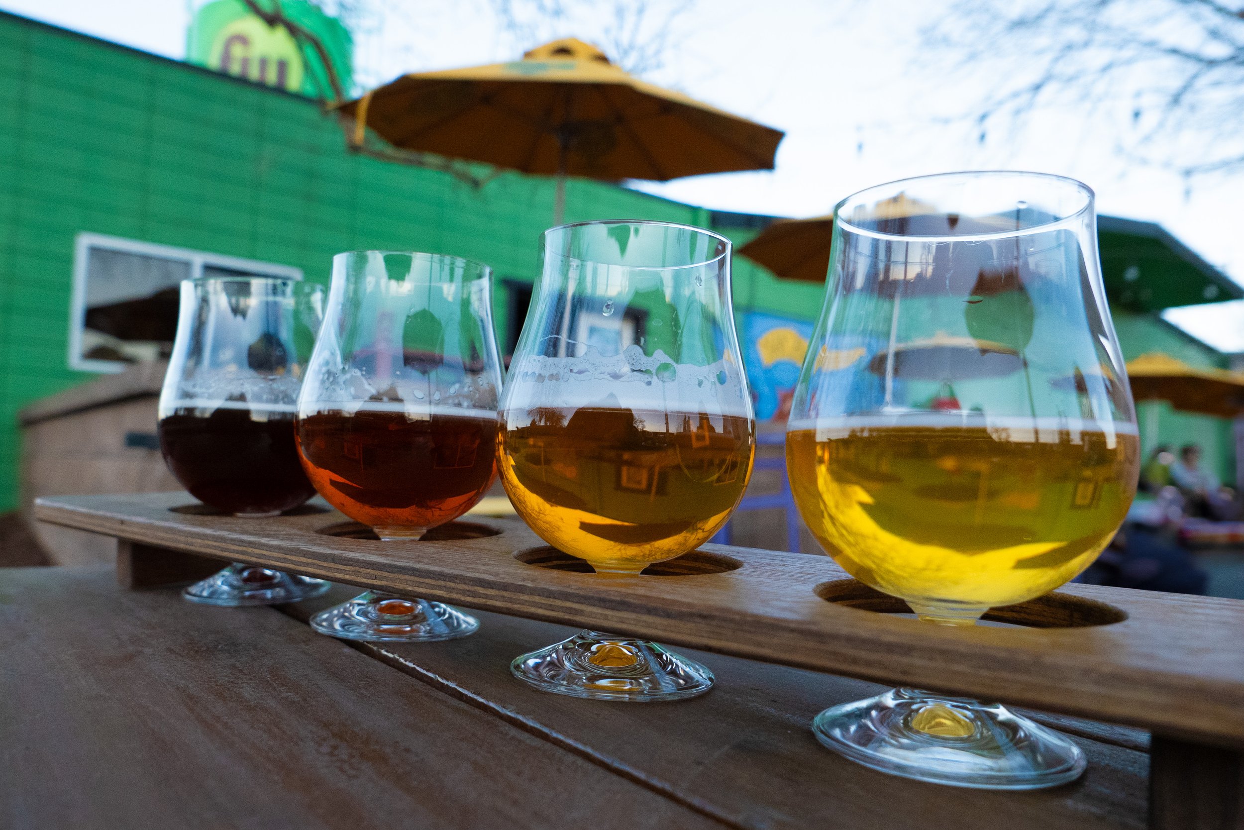 A flight of beer at Funkwerks in Fort Collins, CO. March 1, 2025
