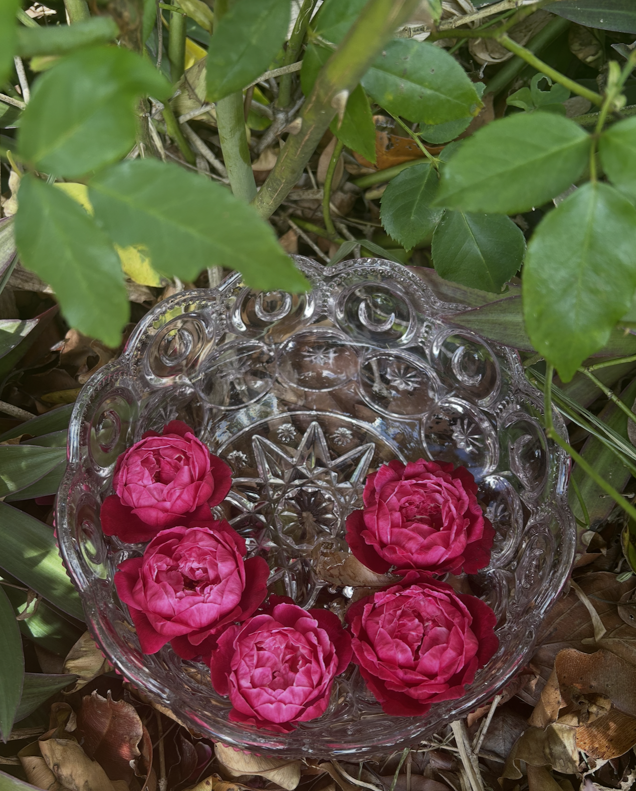 Screenshot 2026-04-10 at 12.54.22 PM.png