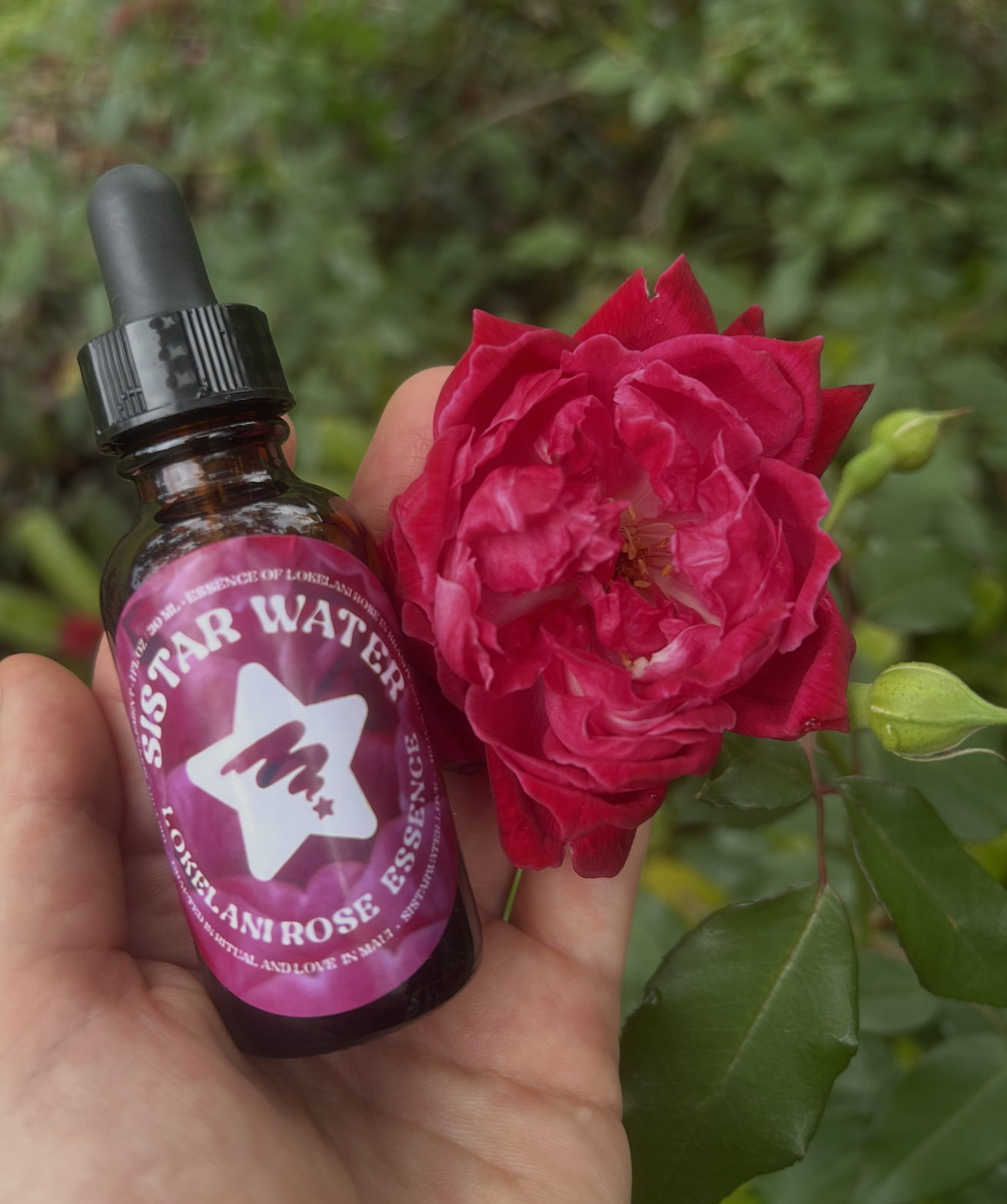 Screenshot 2026-04-10 at 12.45.07 PM.png