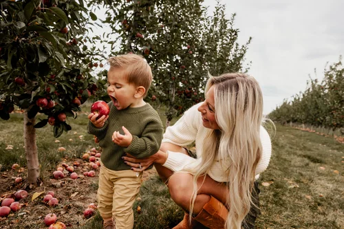 Apple Picking