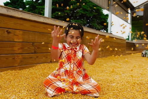 Corn box