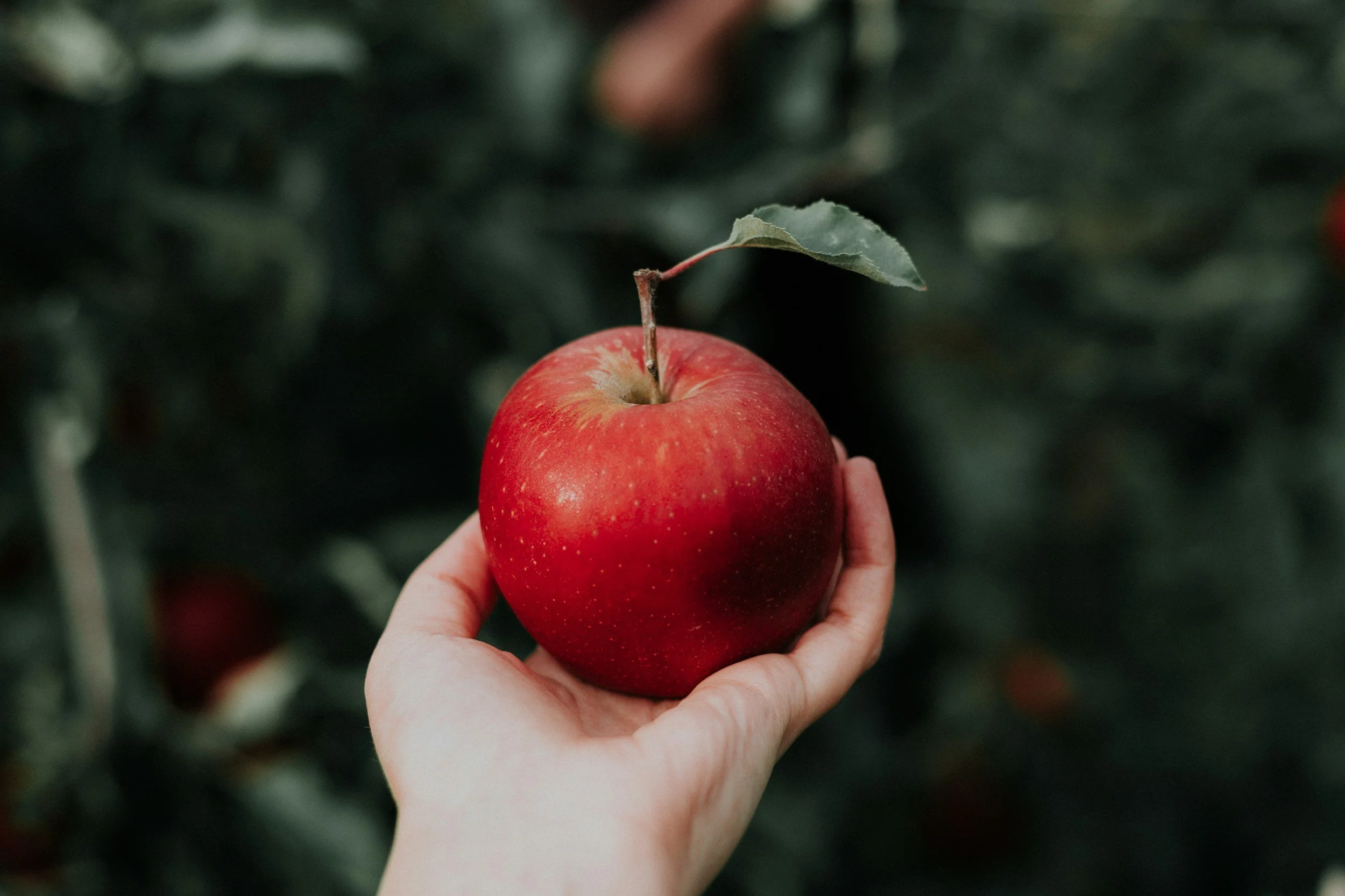 unsplash-image-CoqJGsFVJtM.jpg